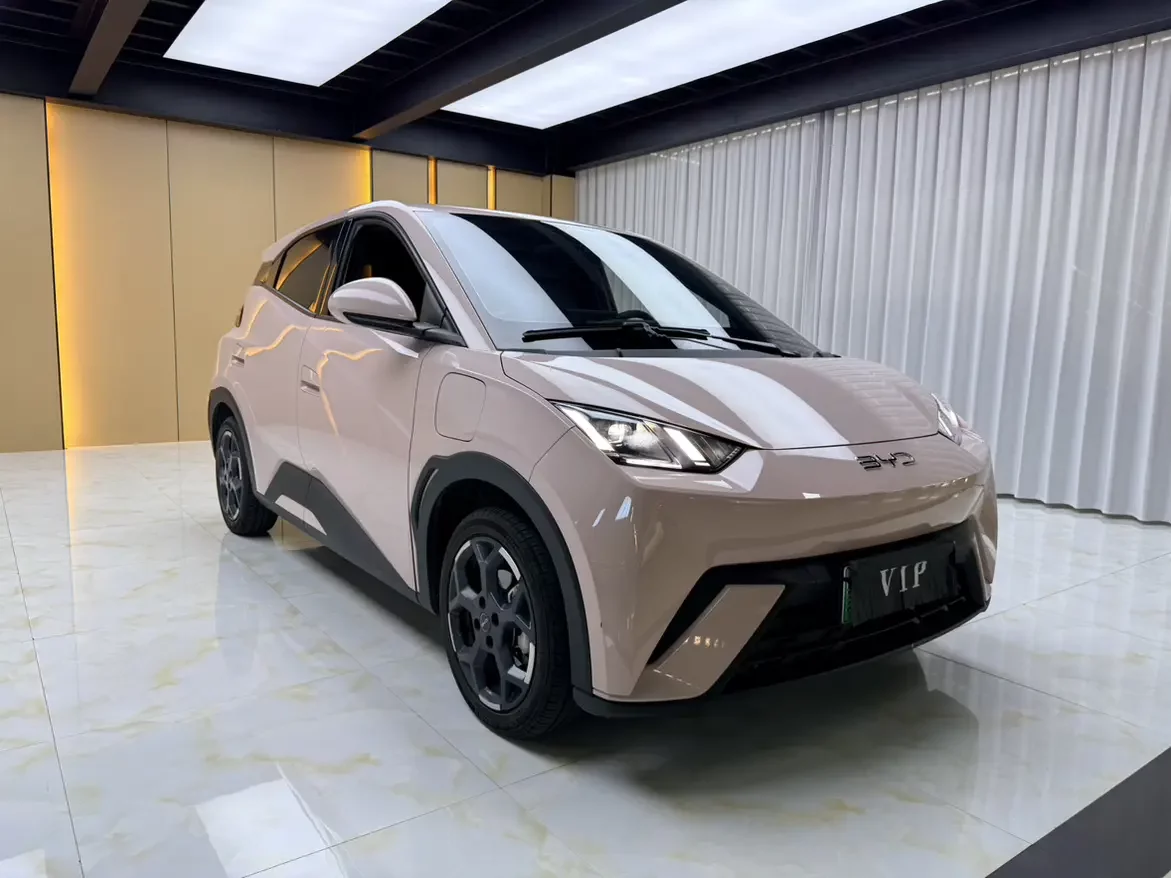 BYD seagull