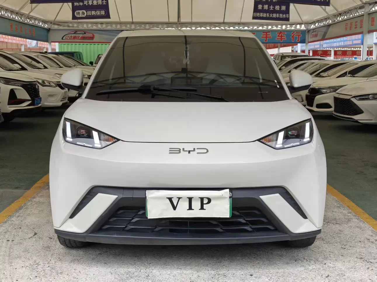 BYD seagull