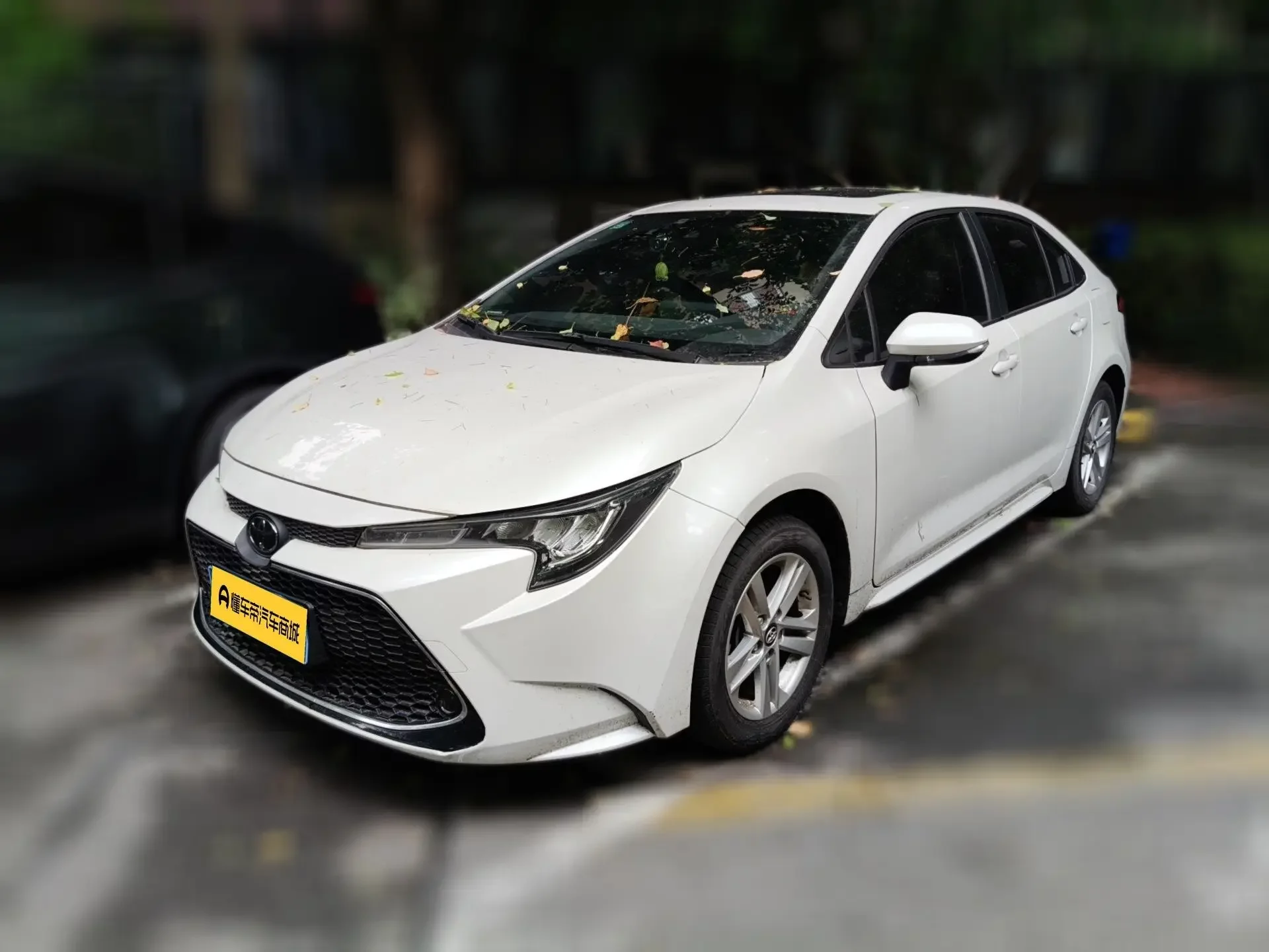 Toyota Levin
