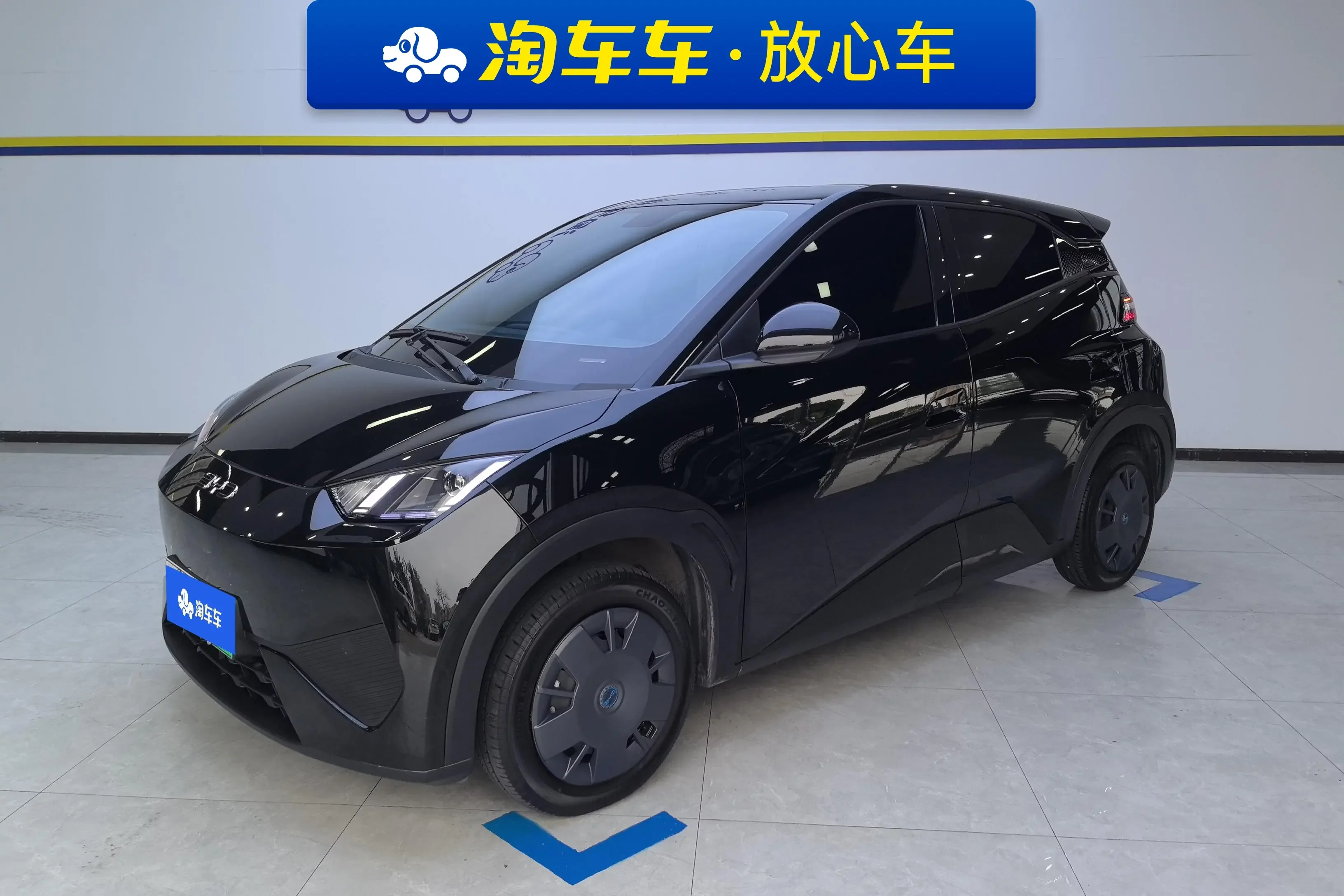 BYD seagull