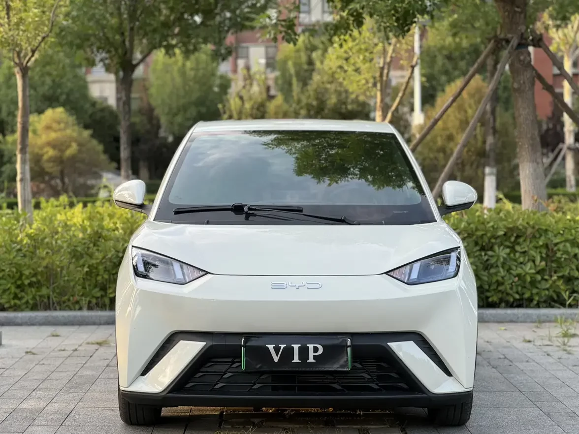 BYD seagull