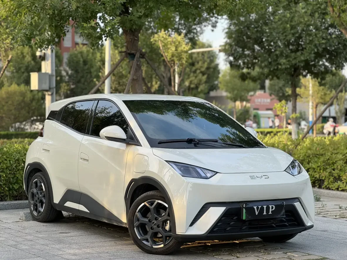 BYD seagull