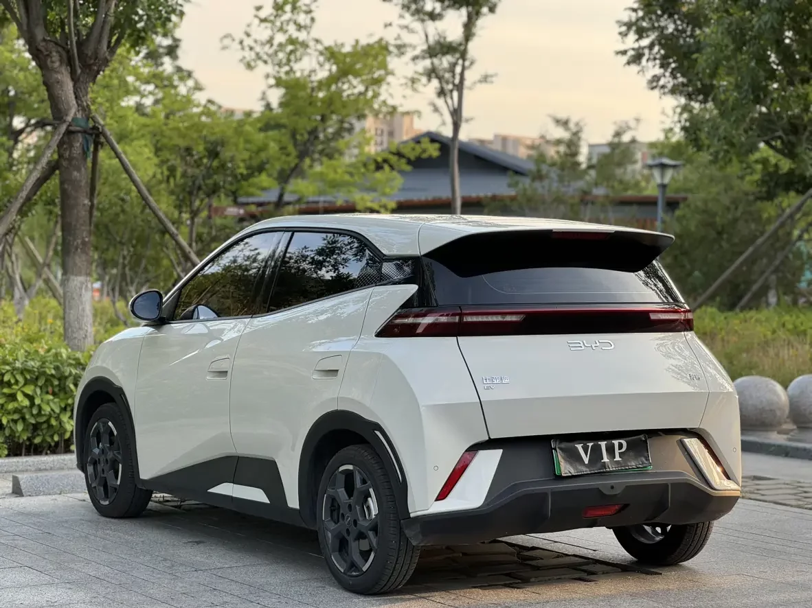 BYD seagull