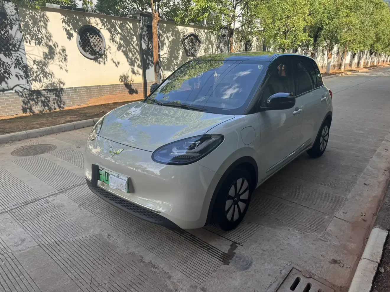 Wuling Bingo