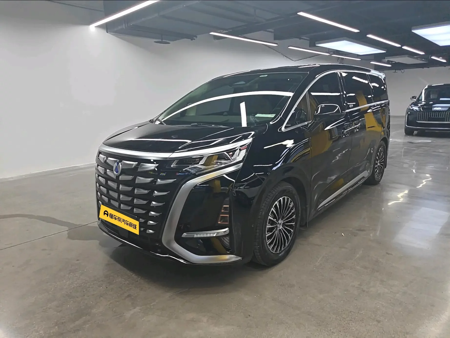Denza D9 DM