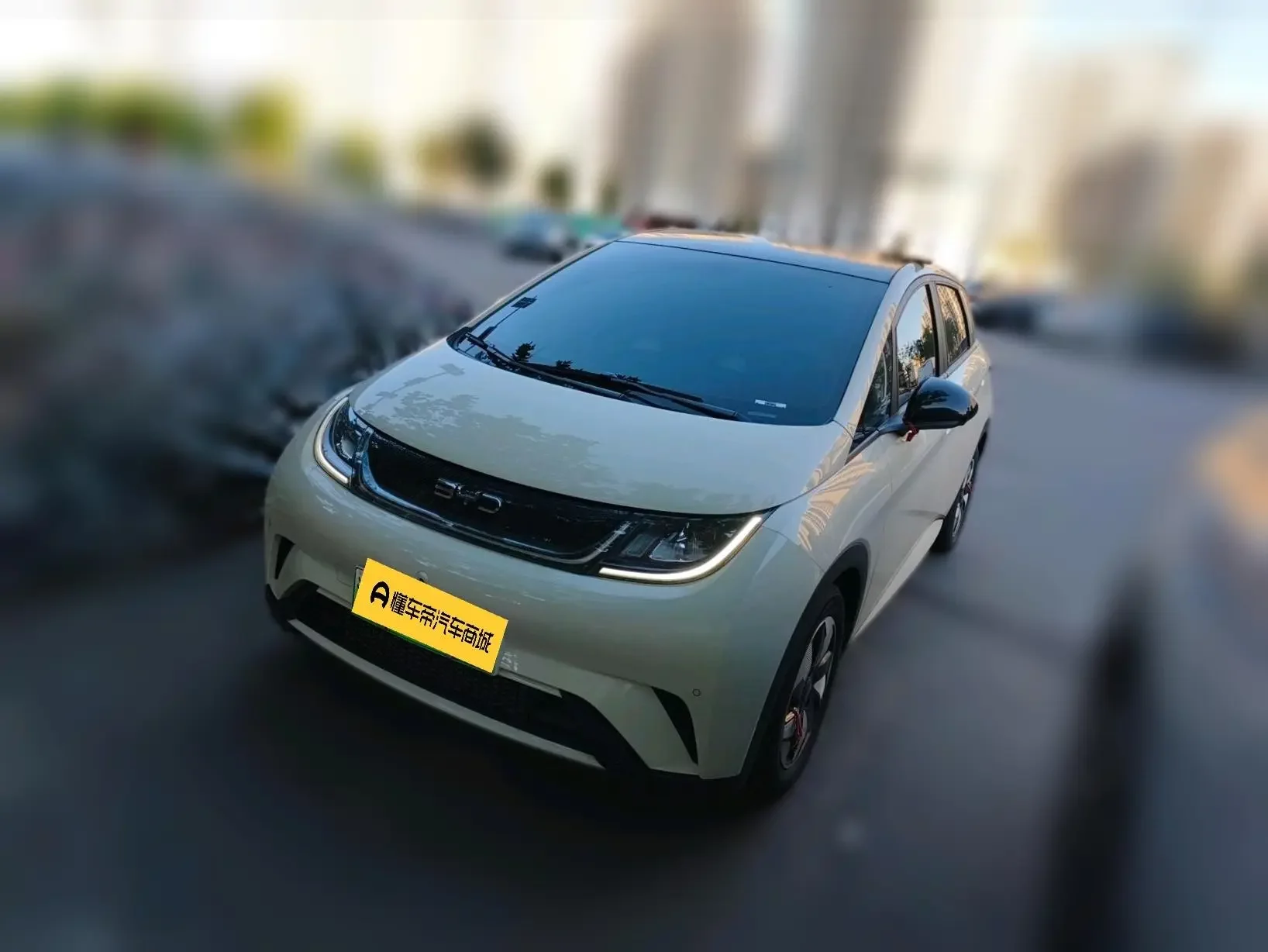BYD dolphin
