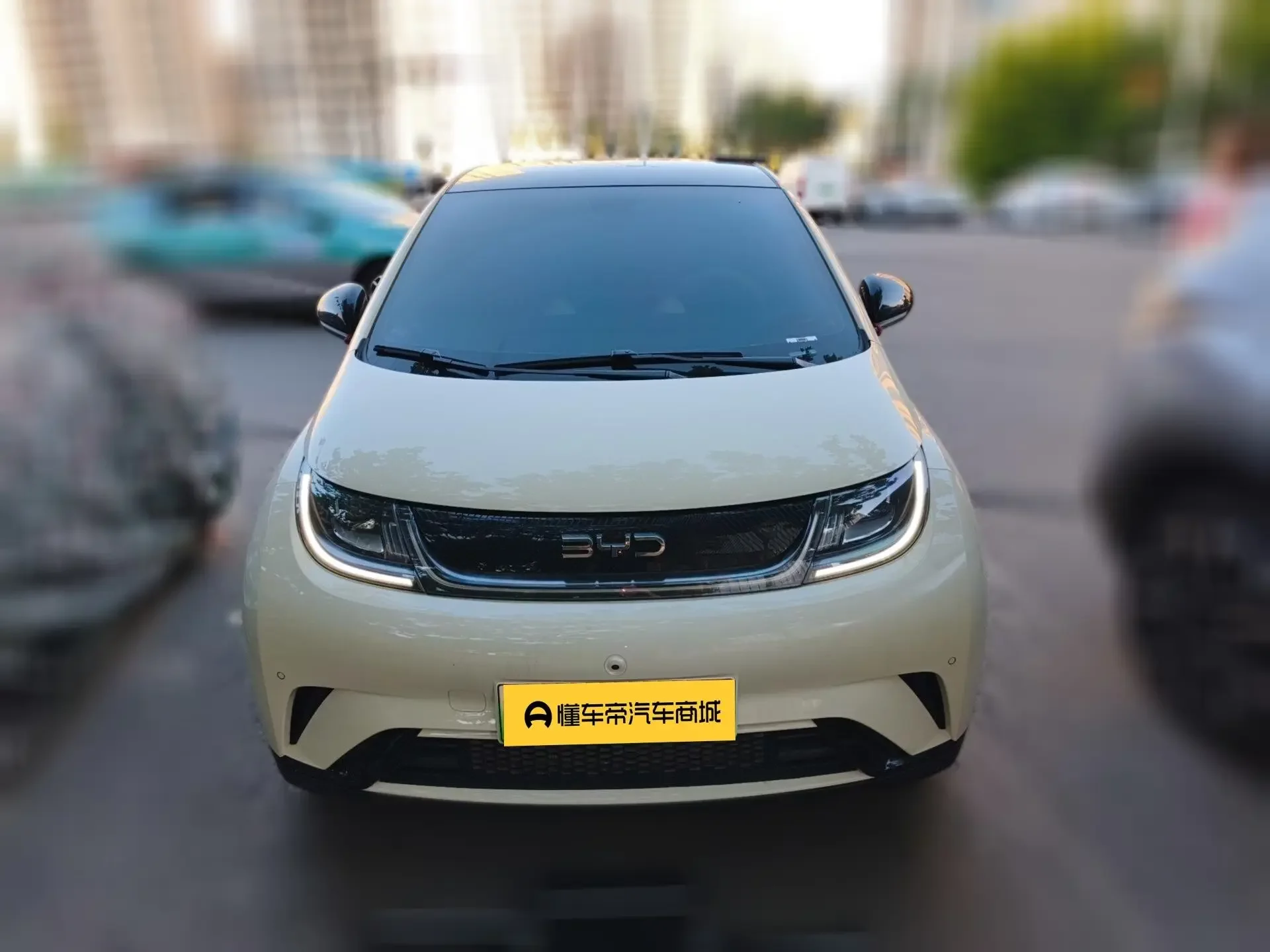 BYD dolphin