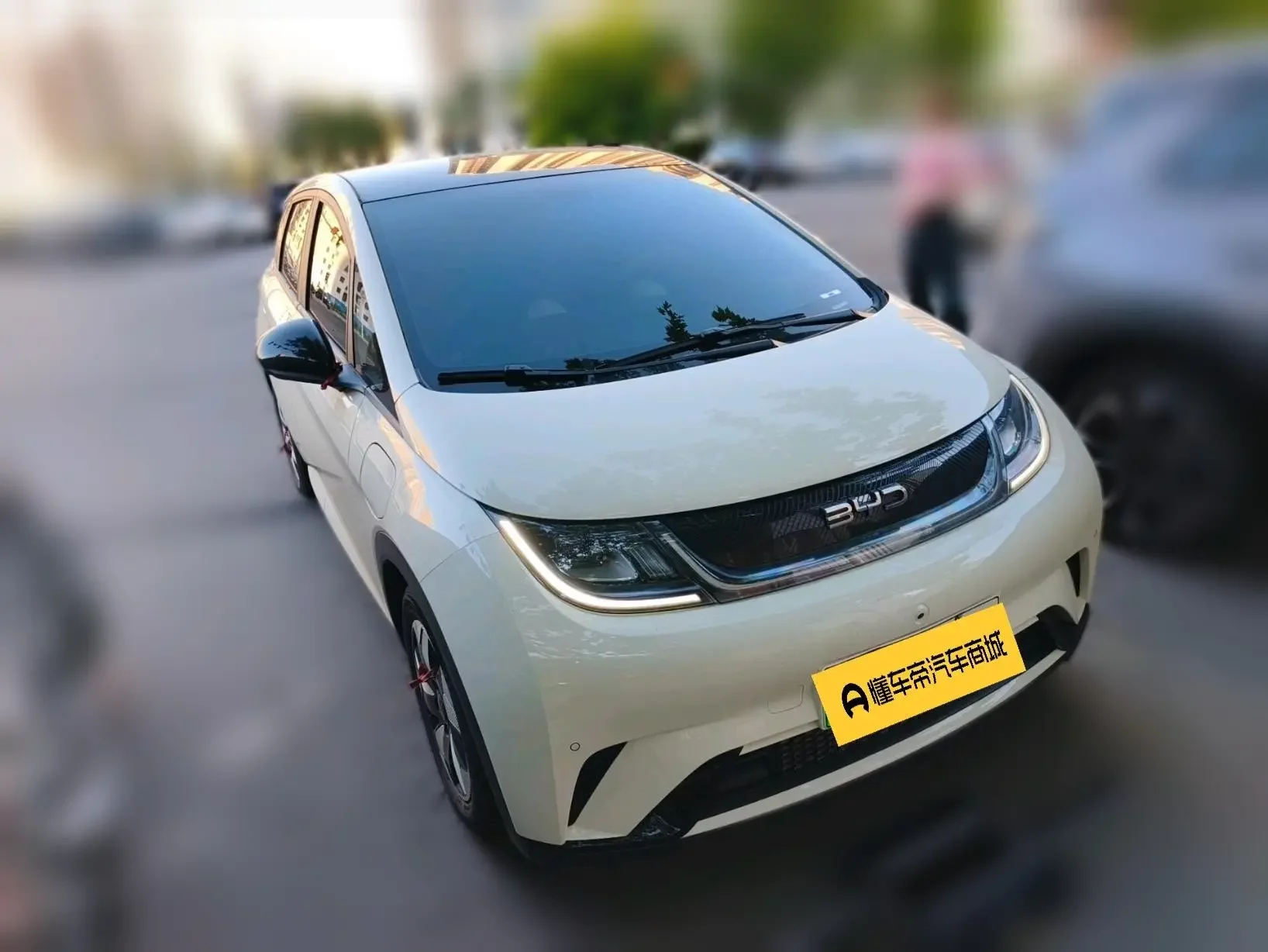 BYD dolphin