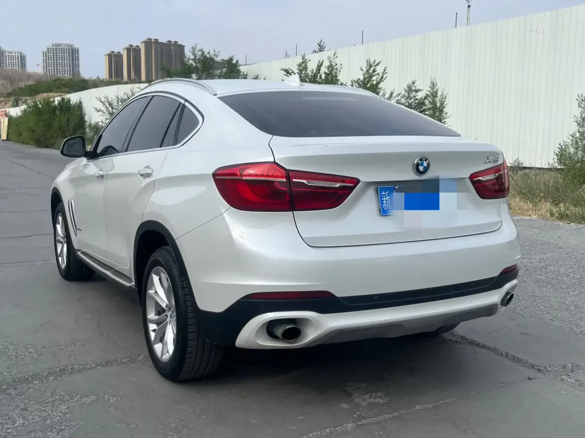 BMW X6