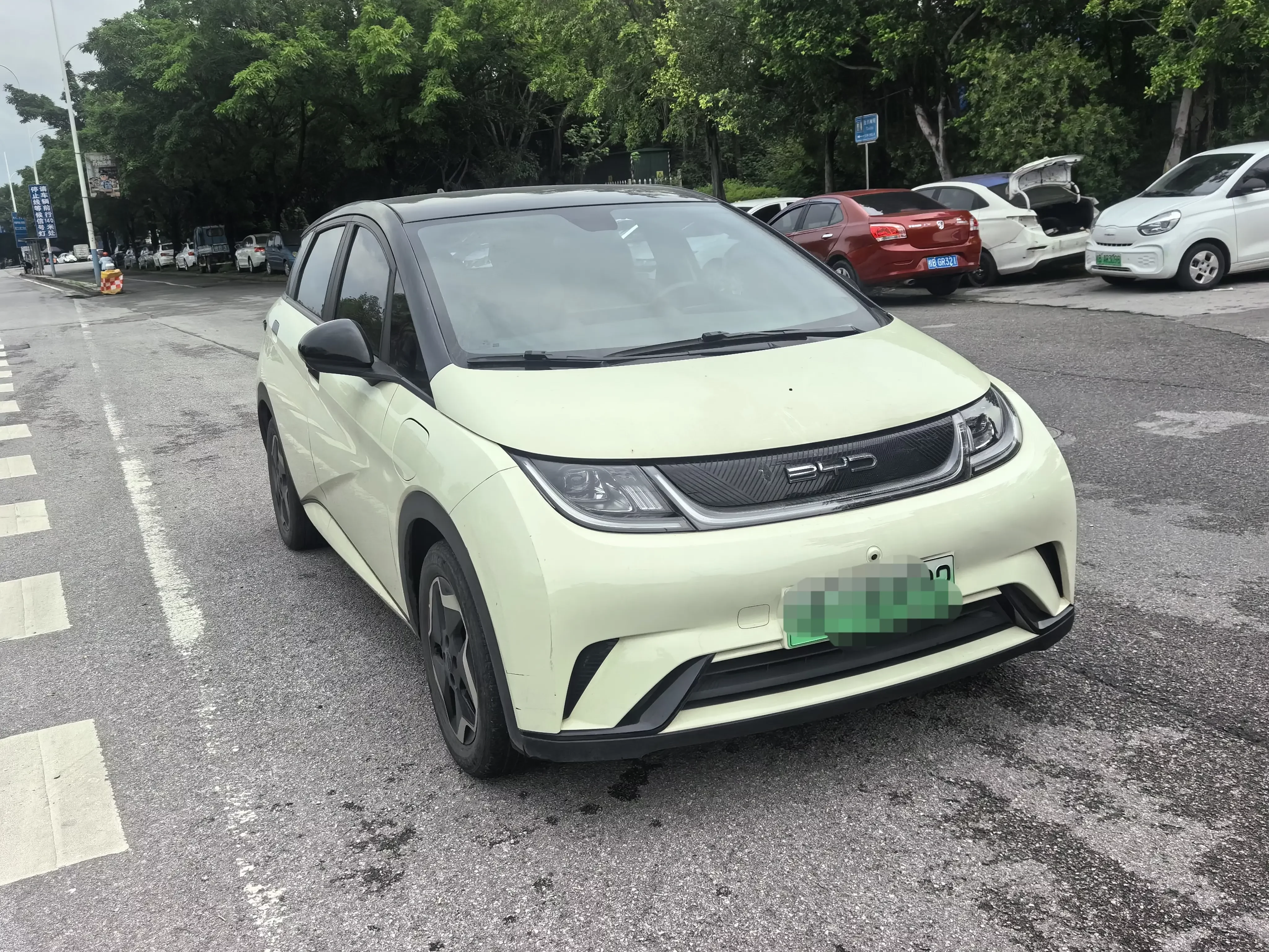 BYD dolphin