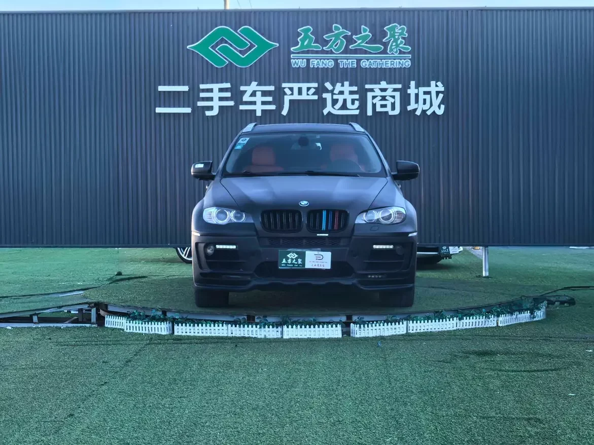 BMW X6