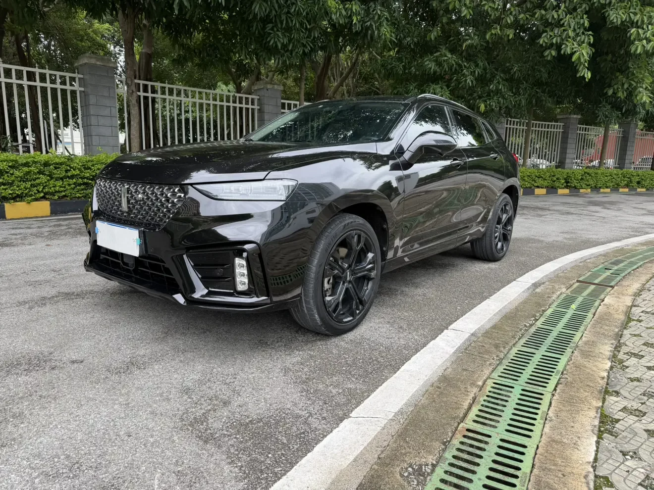 Wey Wei brand VV7