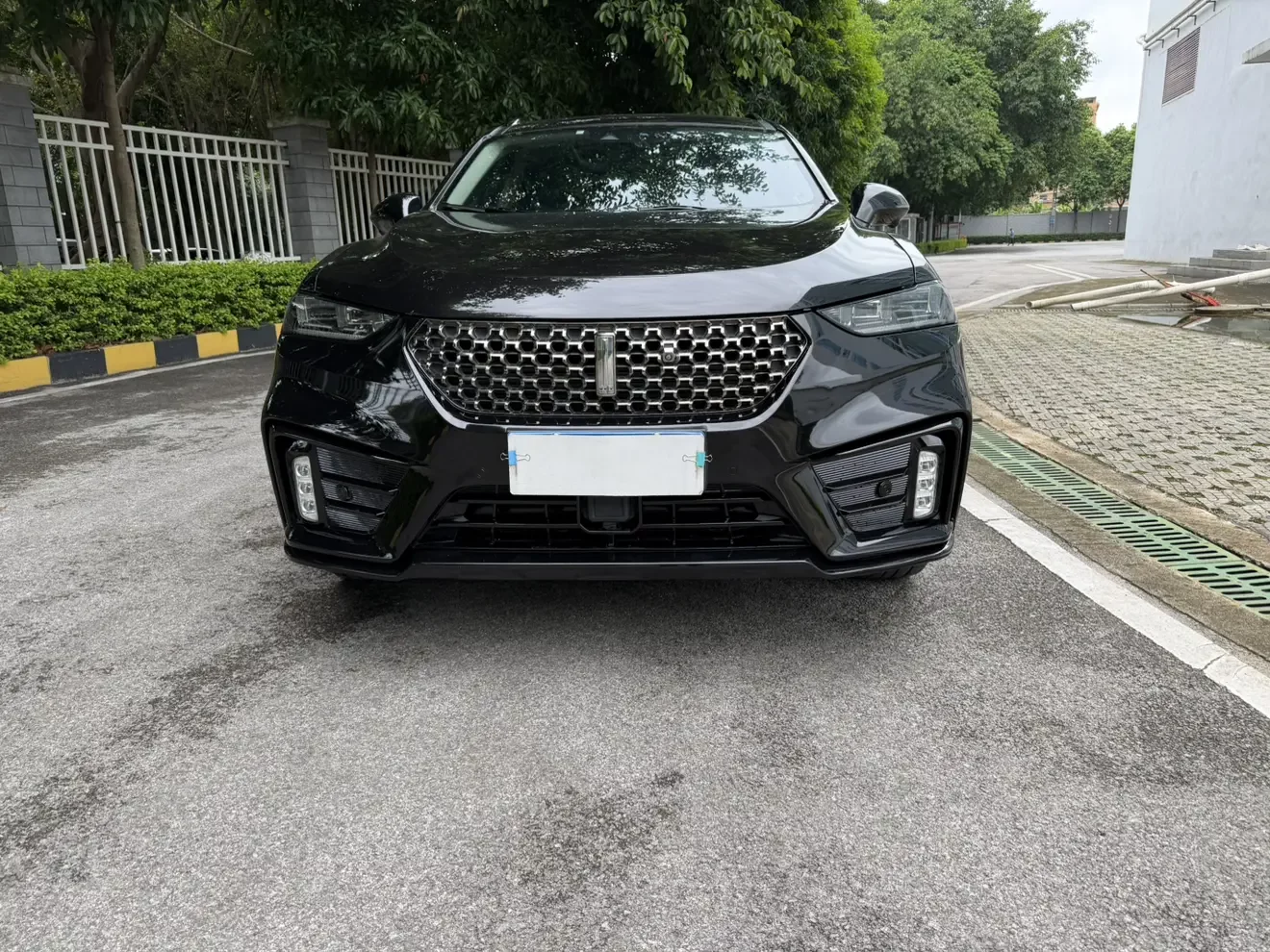 Wey Wei brand VV7