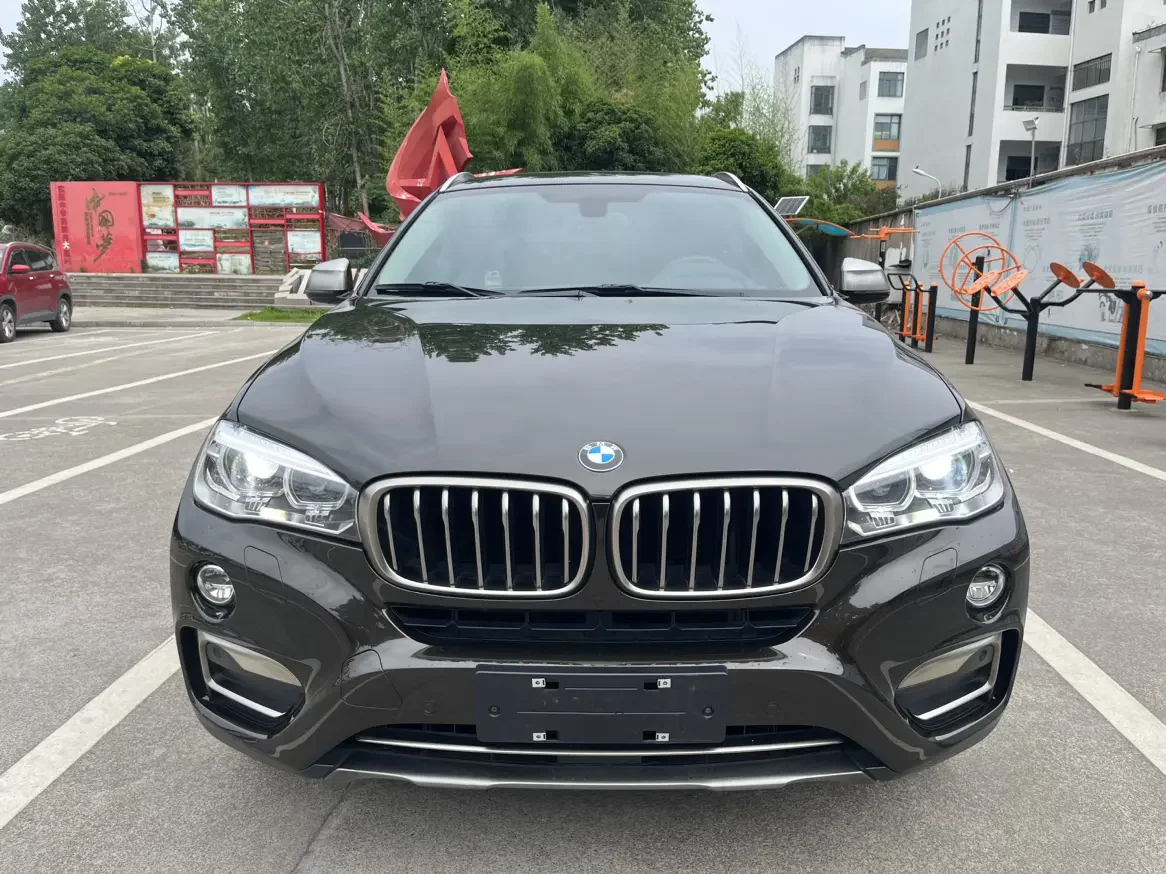 BMW X6