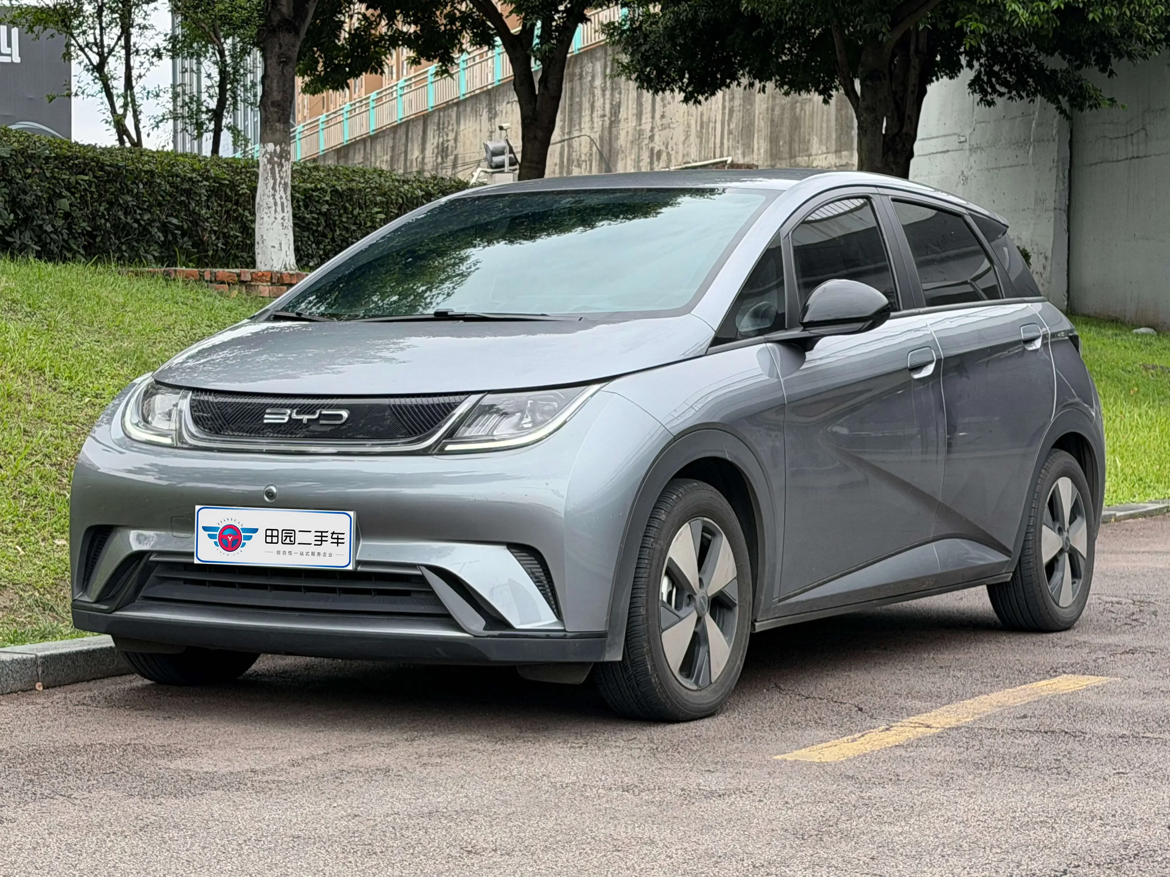 BYD dolphin