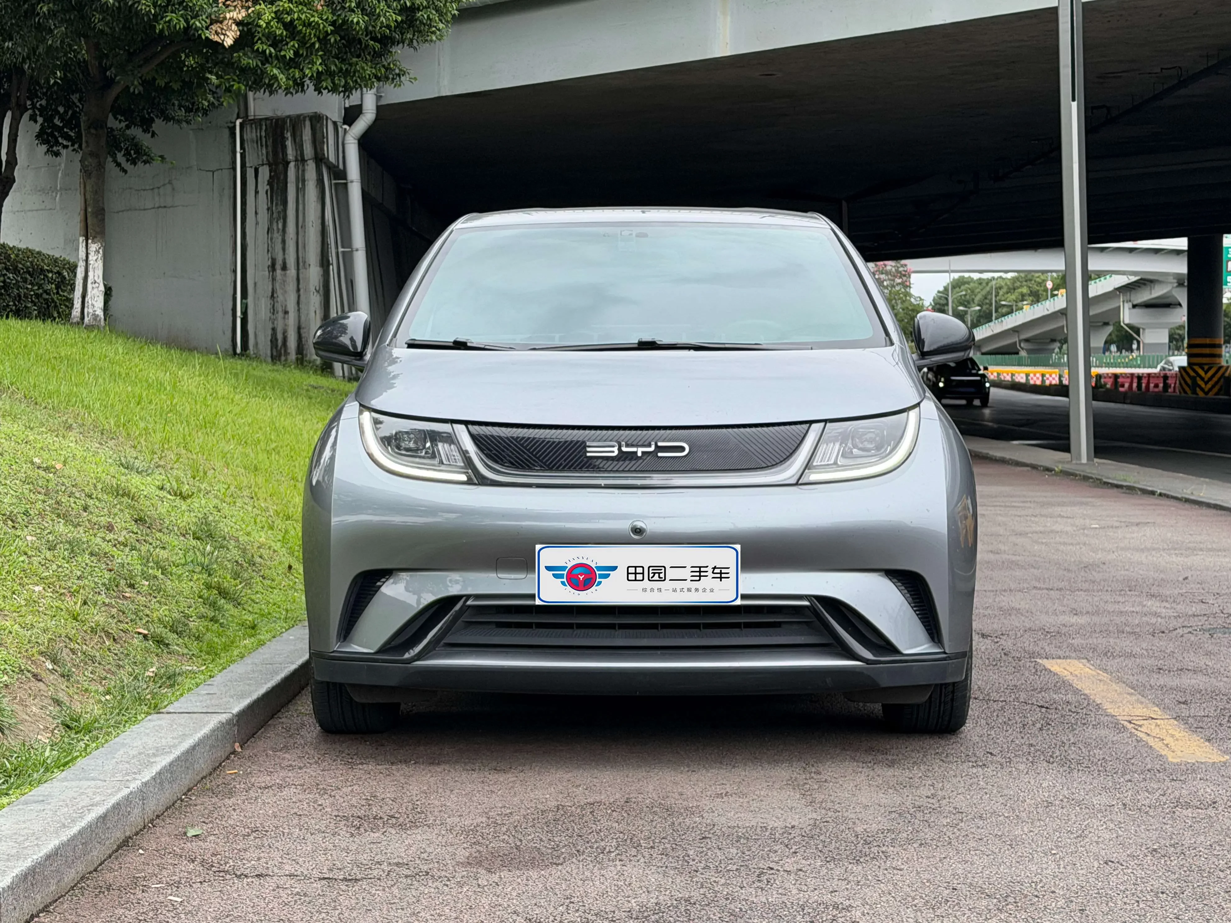 BYD dolphin
