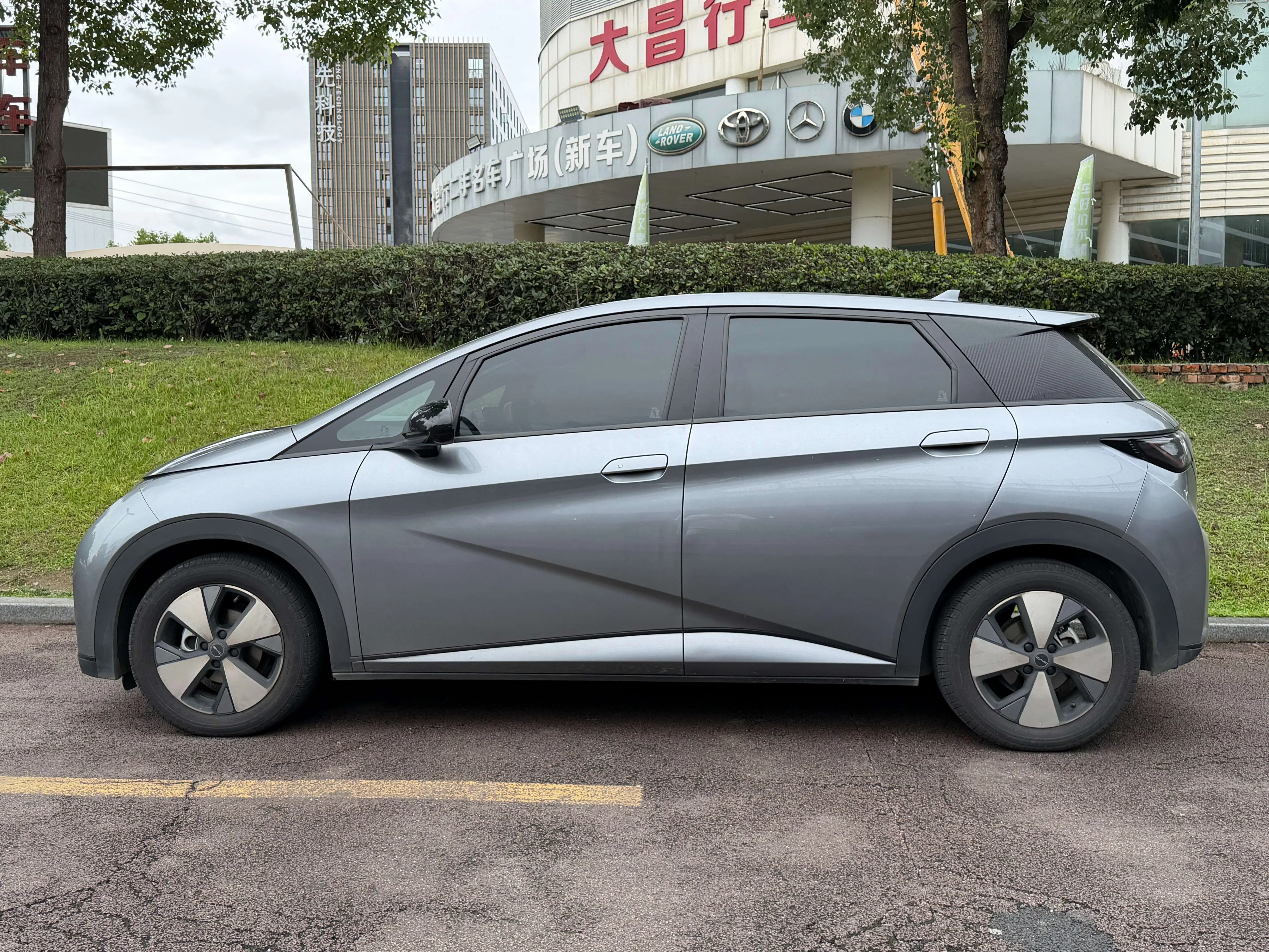 BYD dolphin