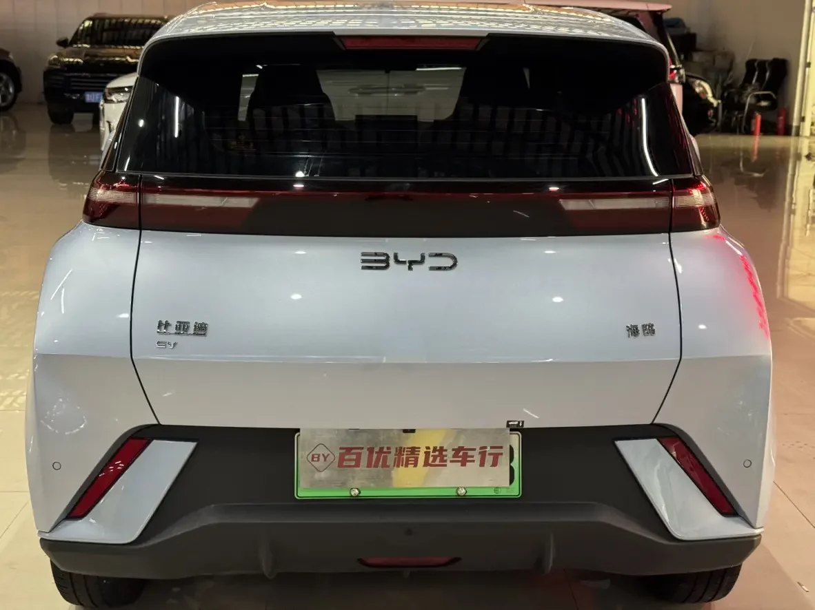 BYD seagull
