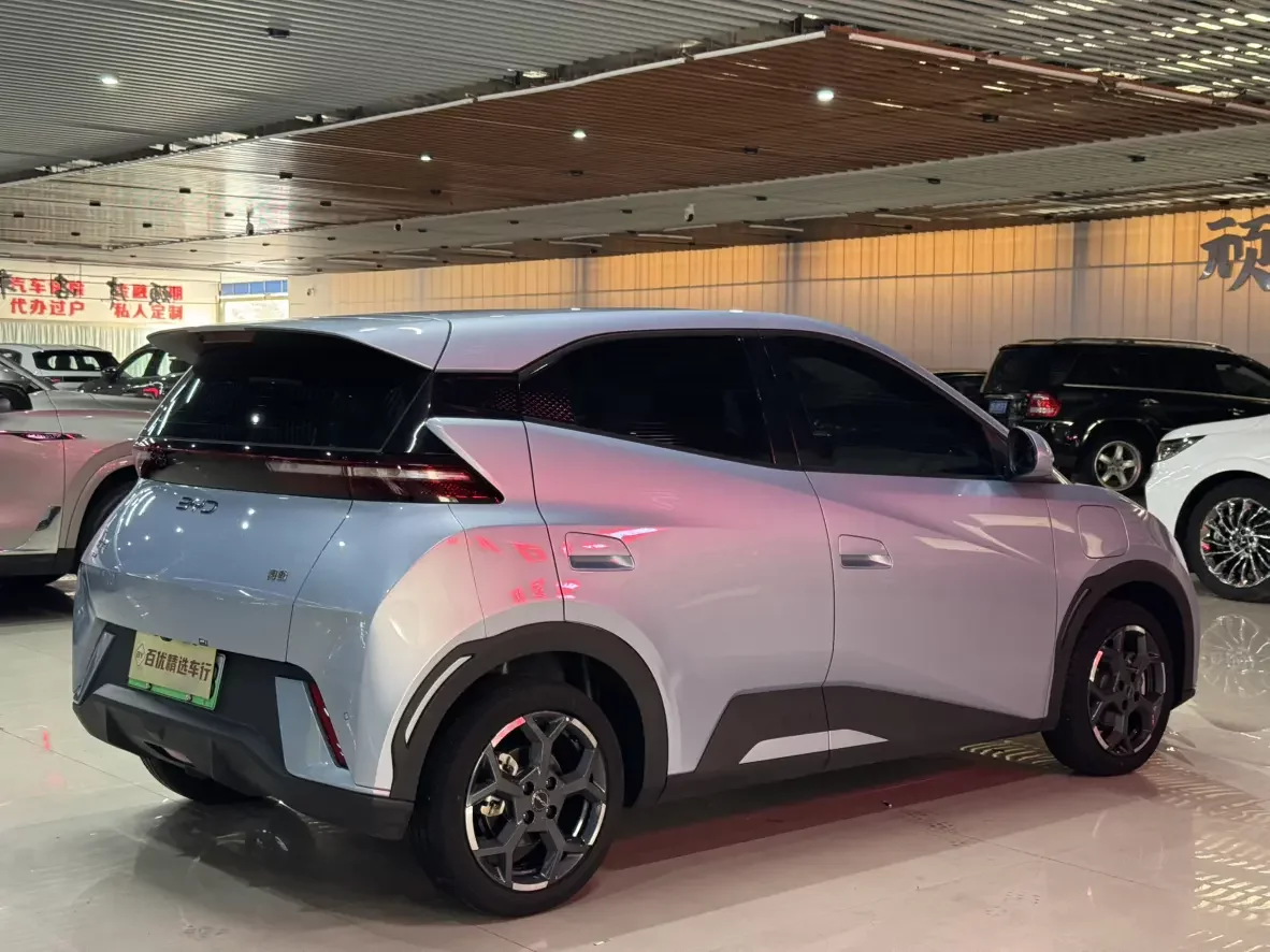 BYD seagull
