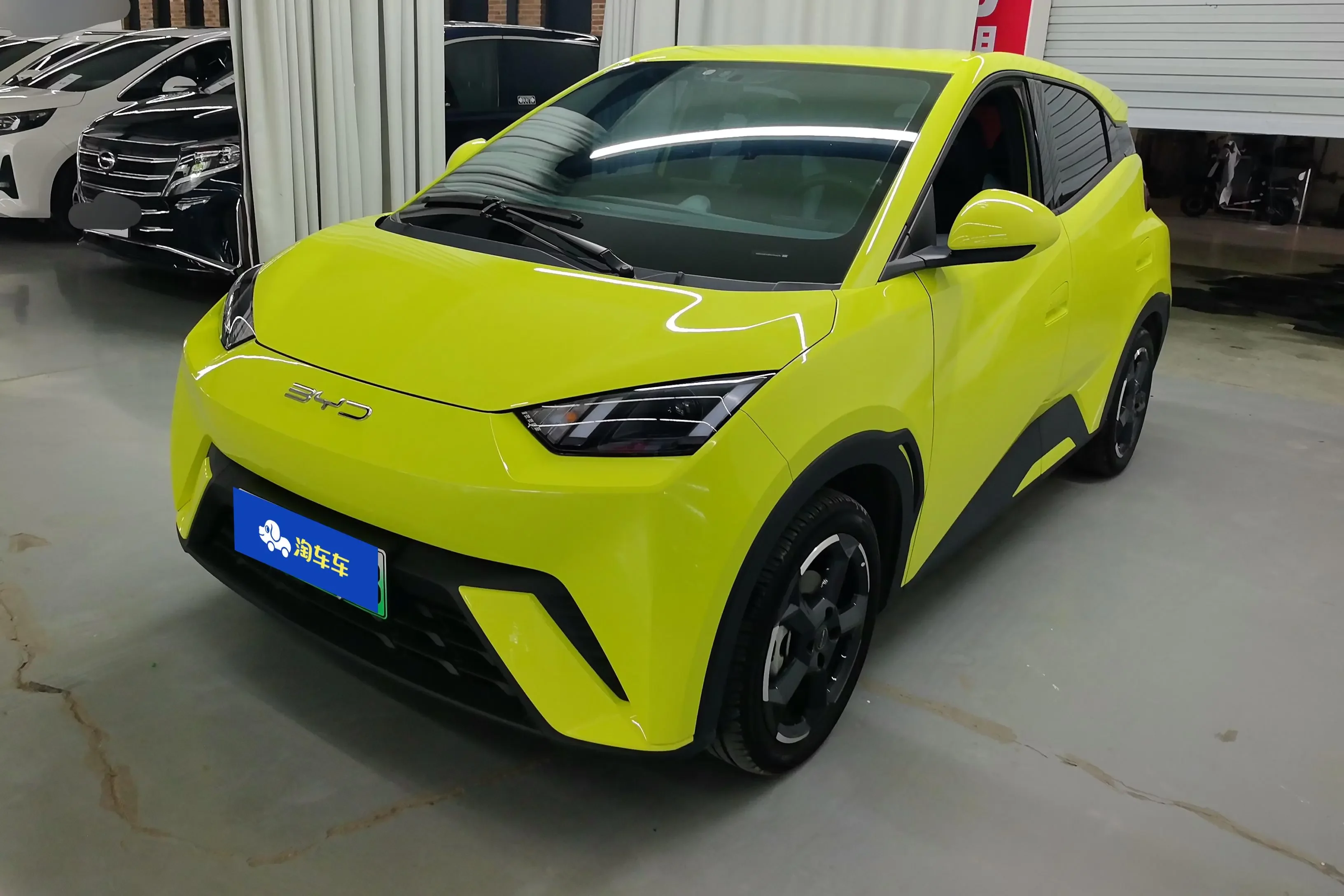 BYD seagull
