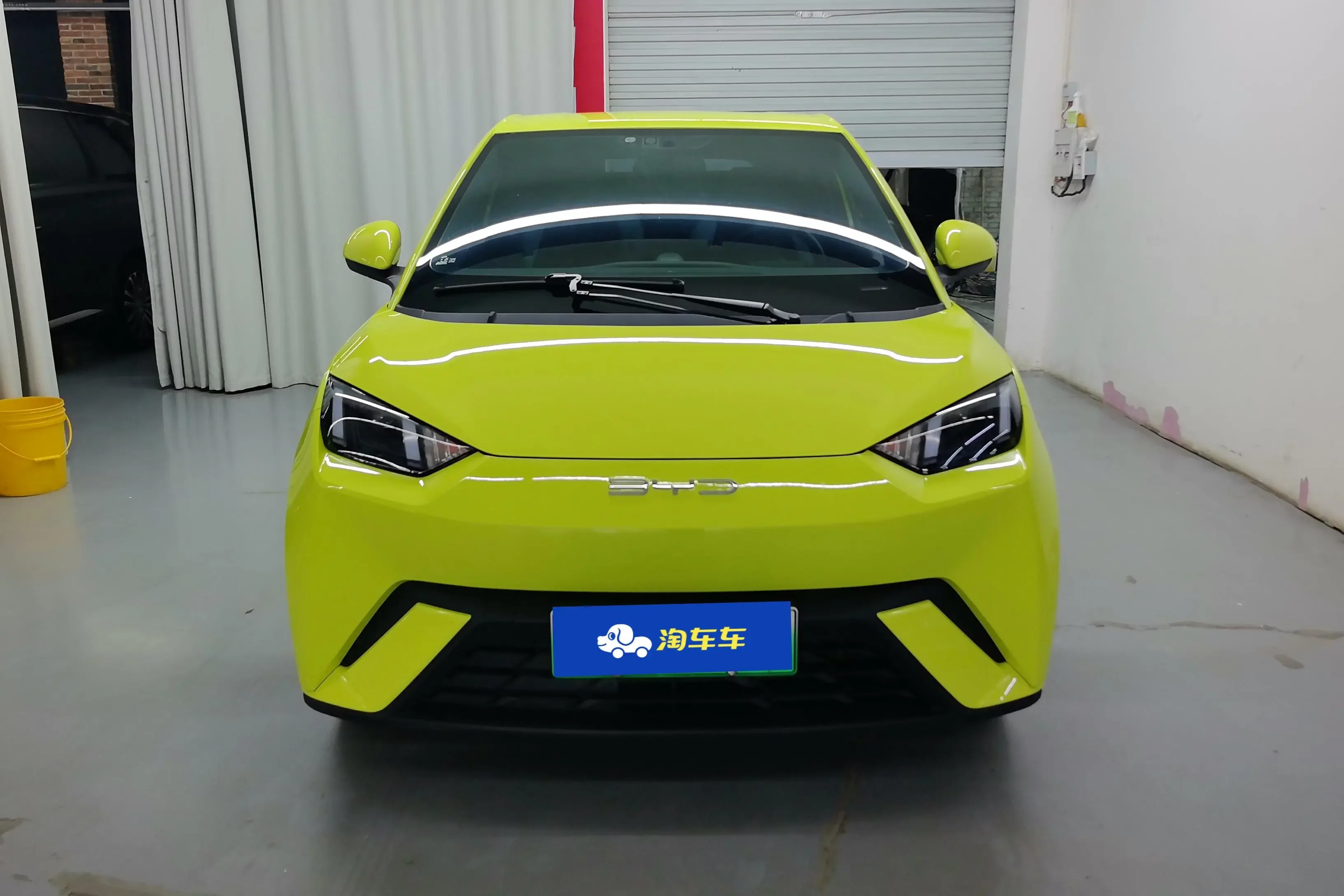 BYD seagull