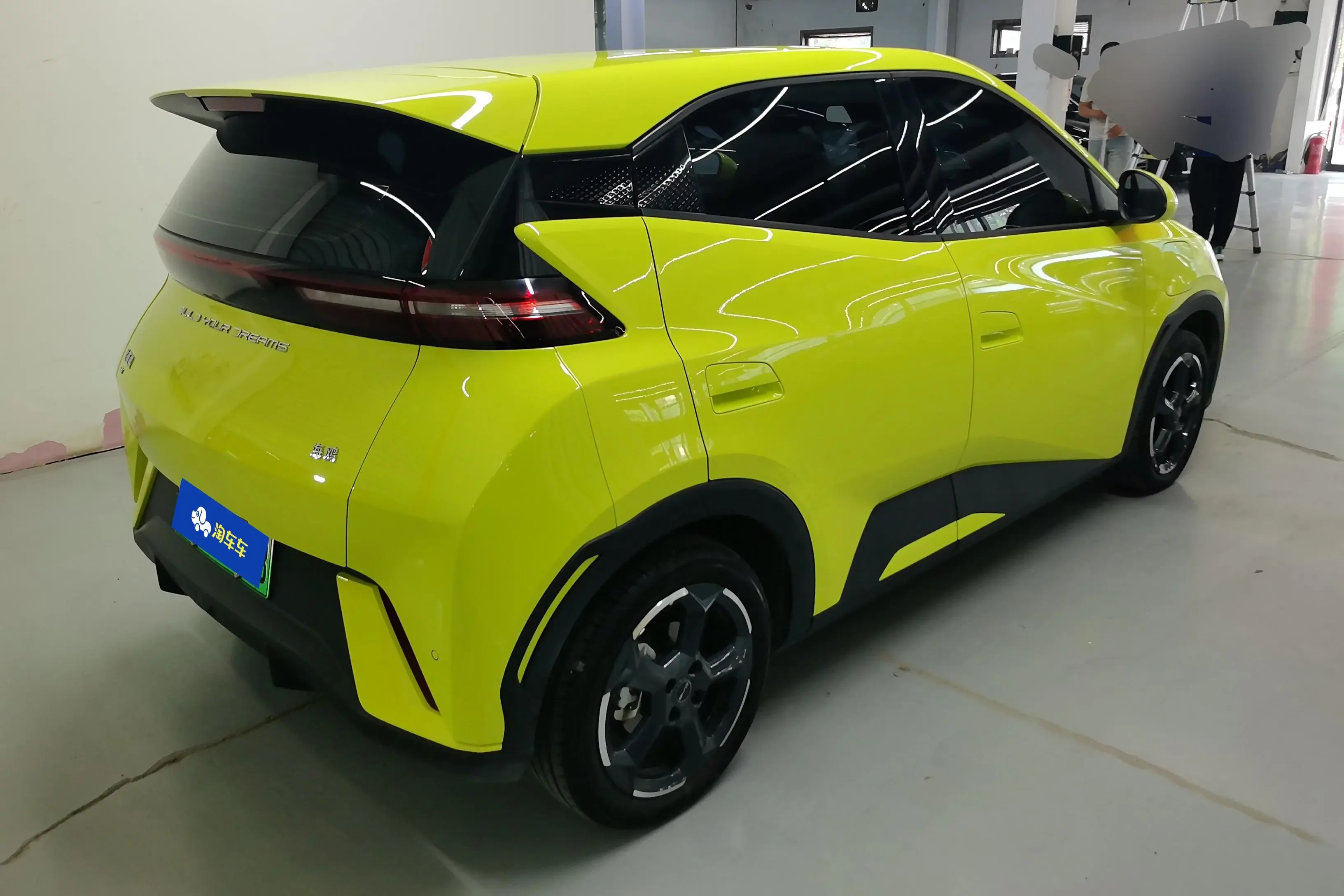 BYD seagull