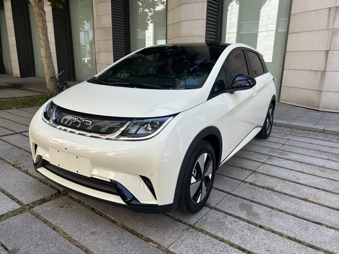 BYD dolphin