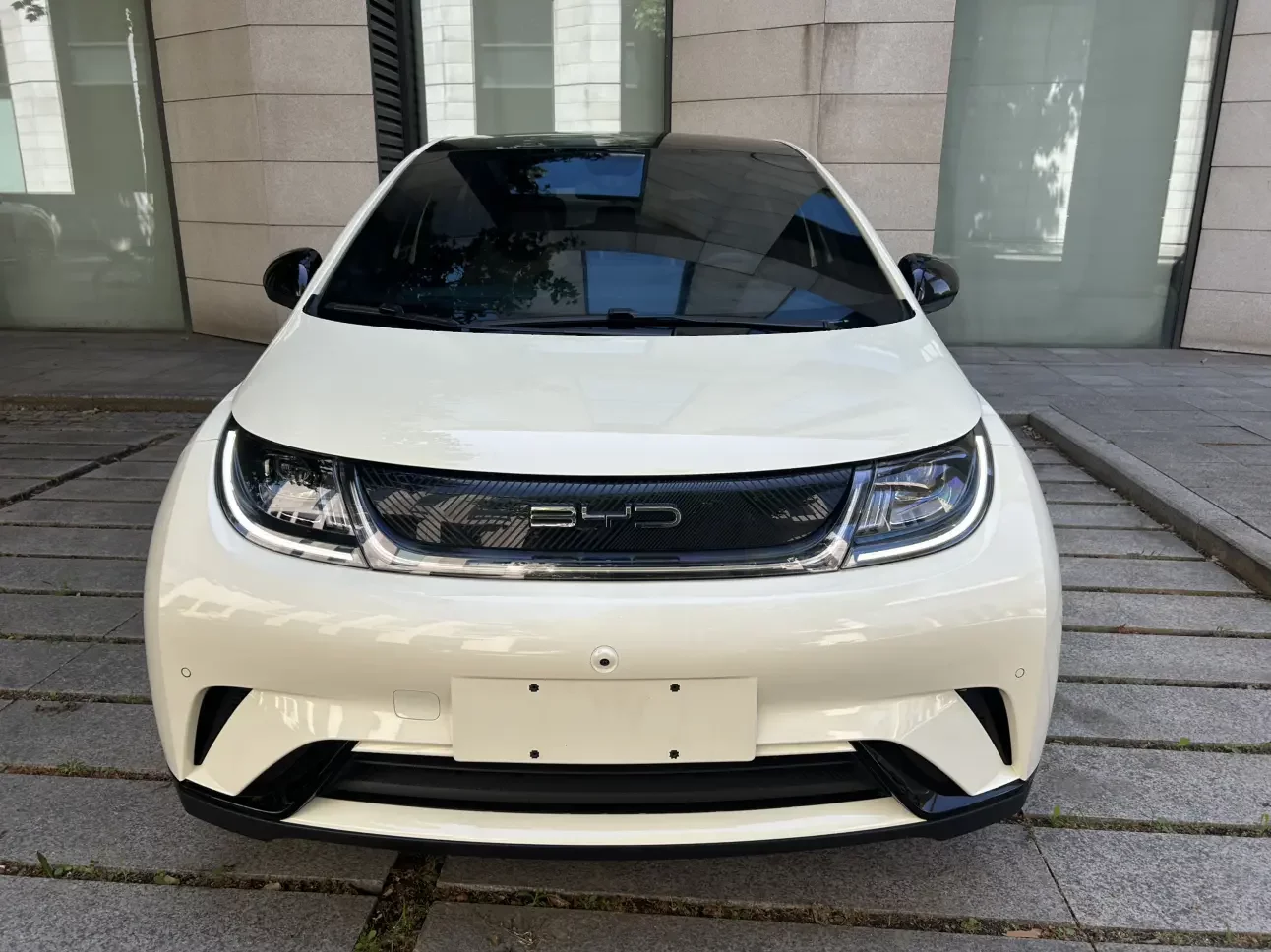 BYD dolphin