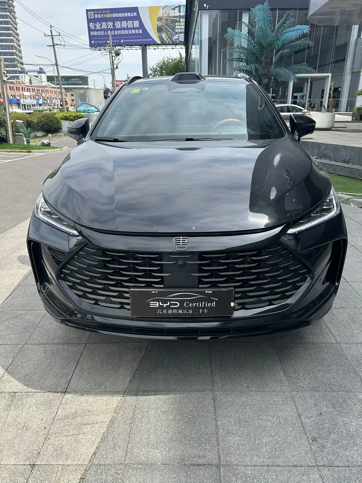 BYD Tang DM
