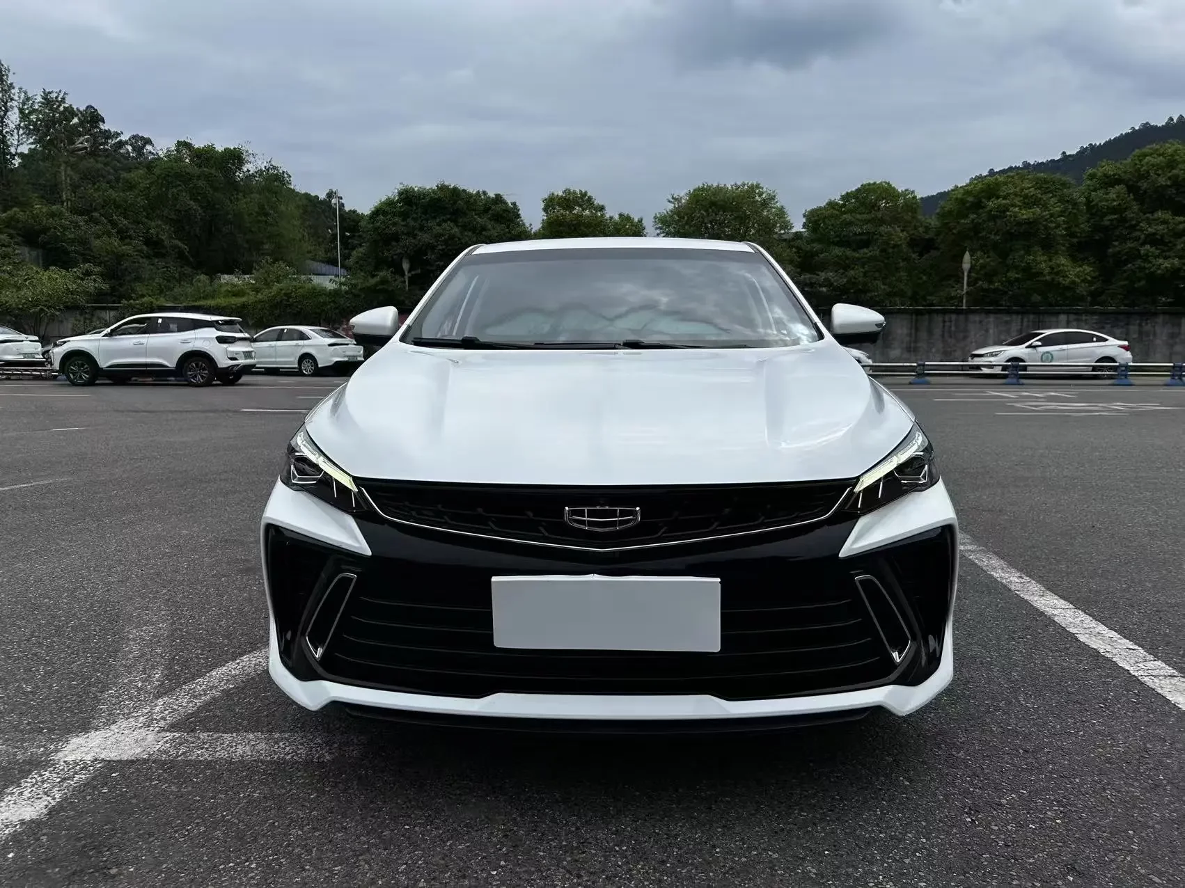 Geely Binrui