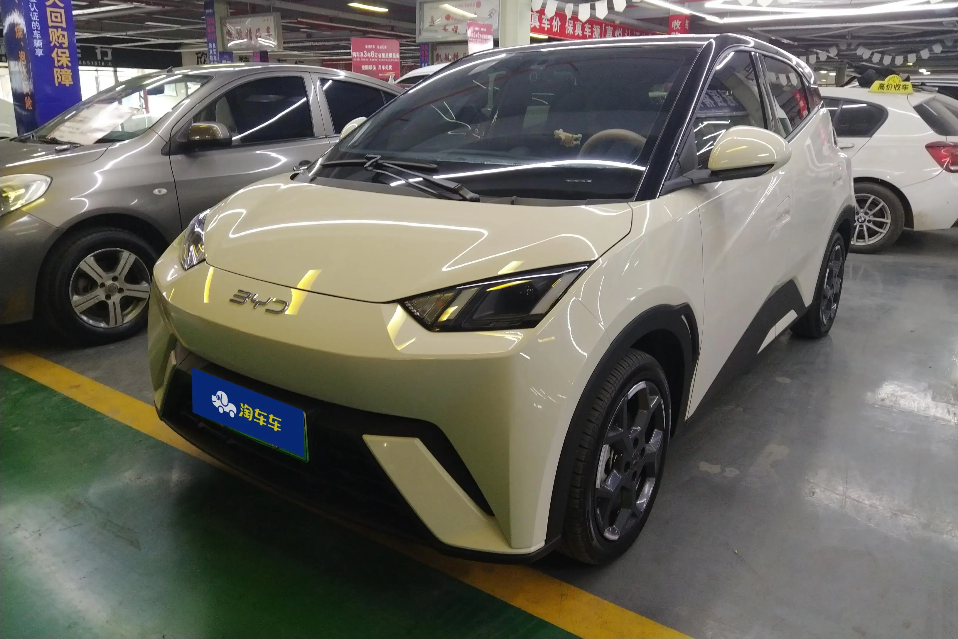 BYD seagull