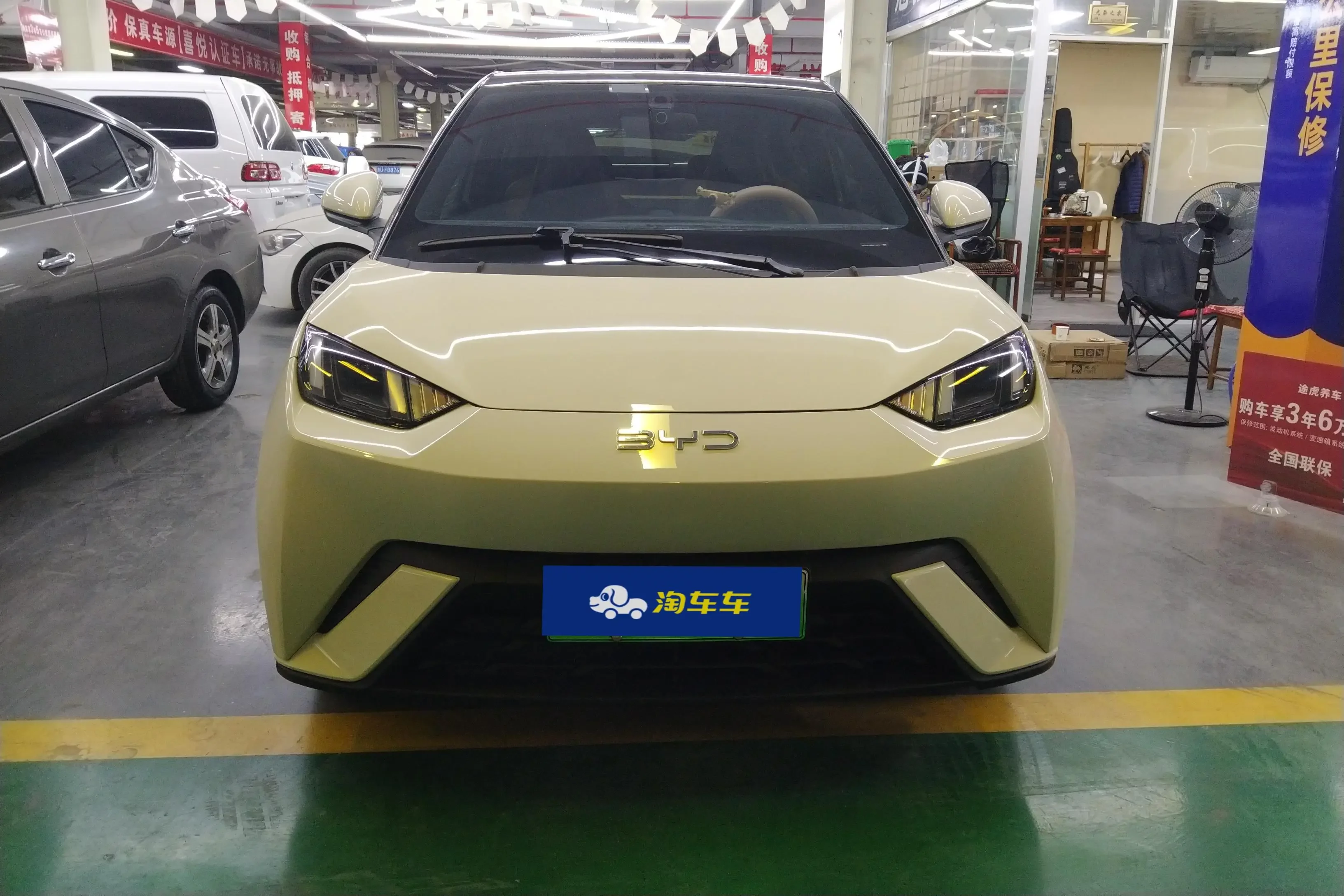BYD seagull