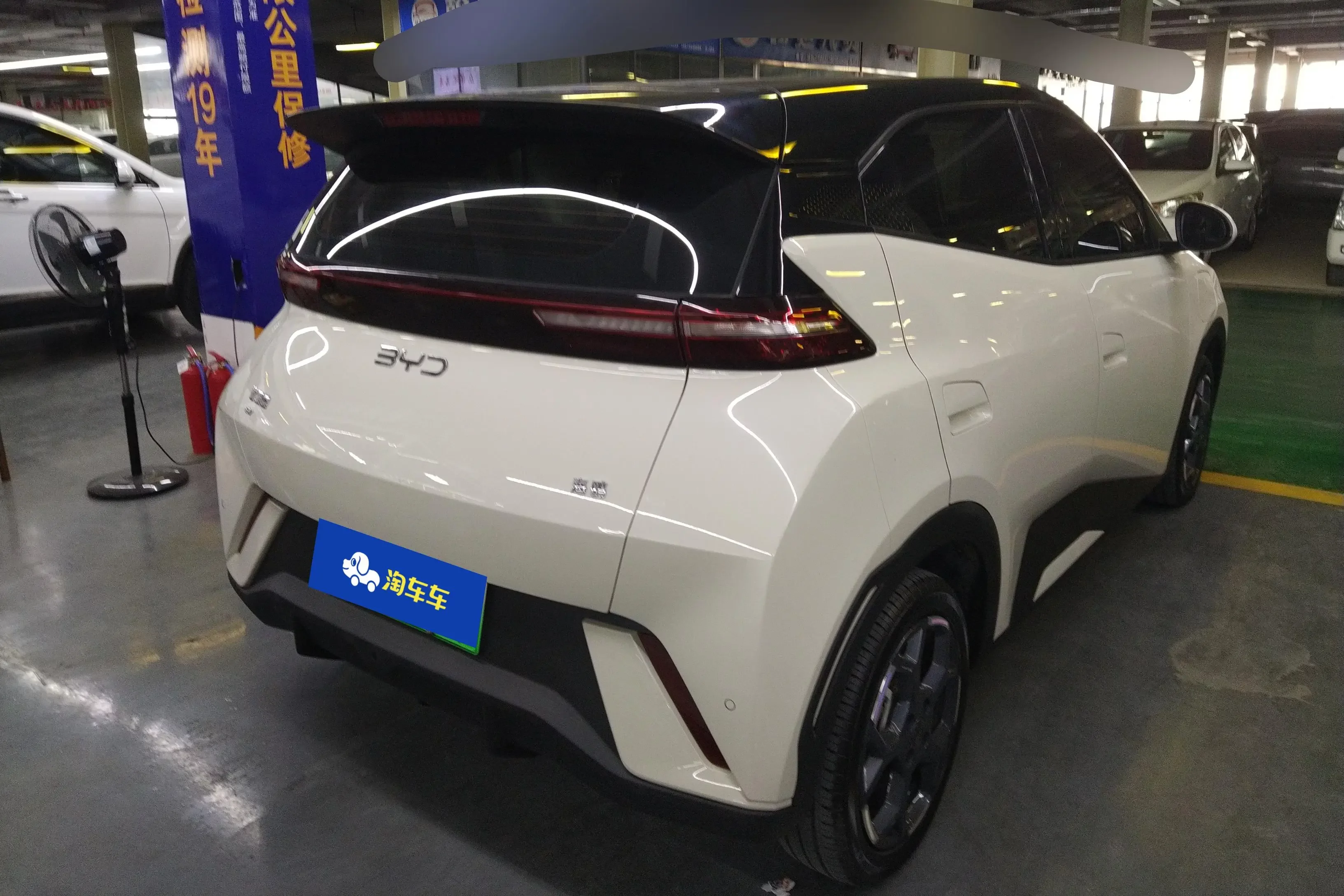 BYD seagull