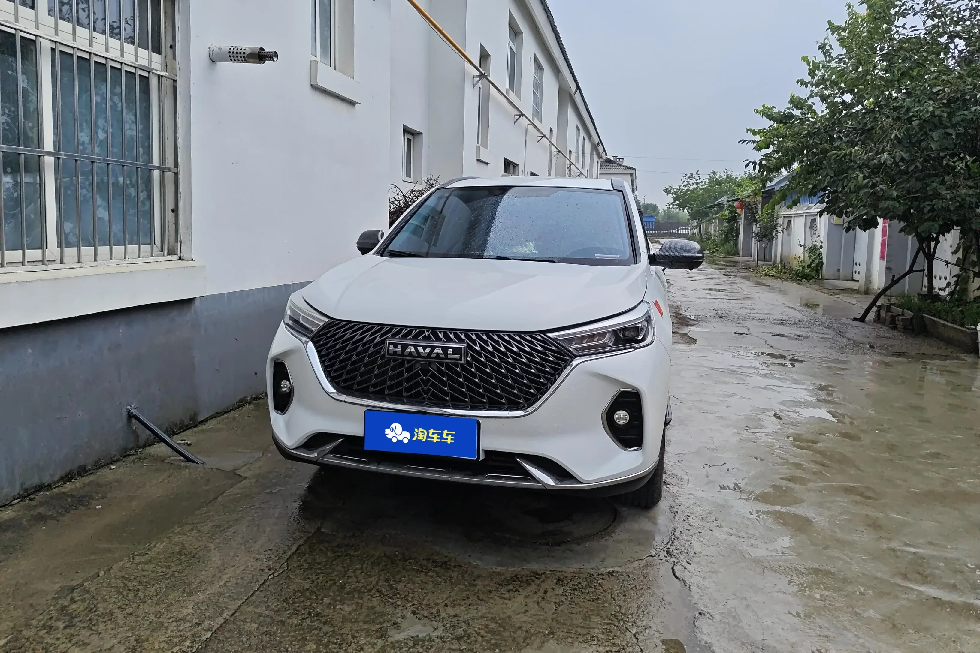 Haval M6