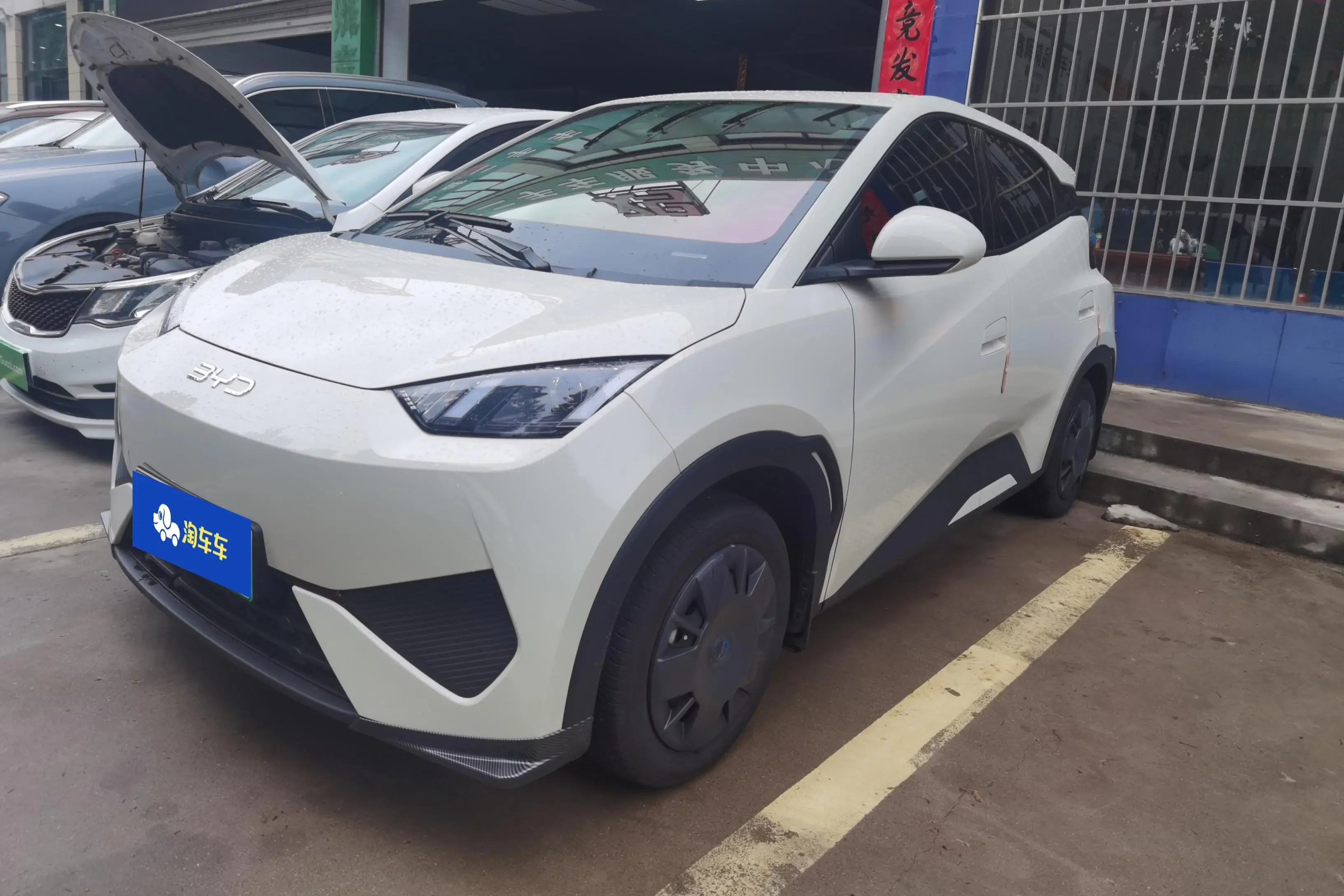 BYD seagull