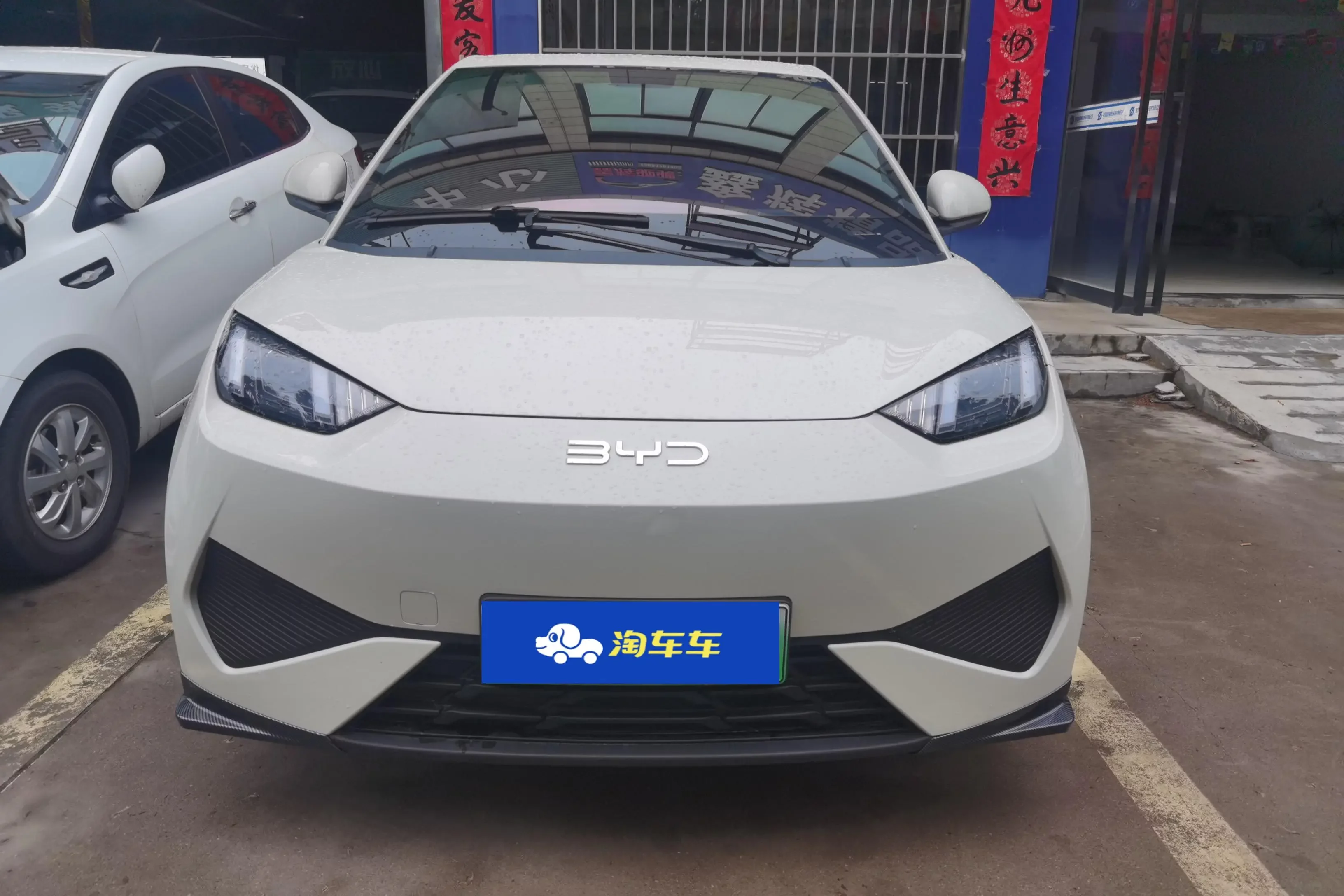 BYD seagull
