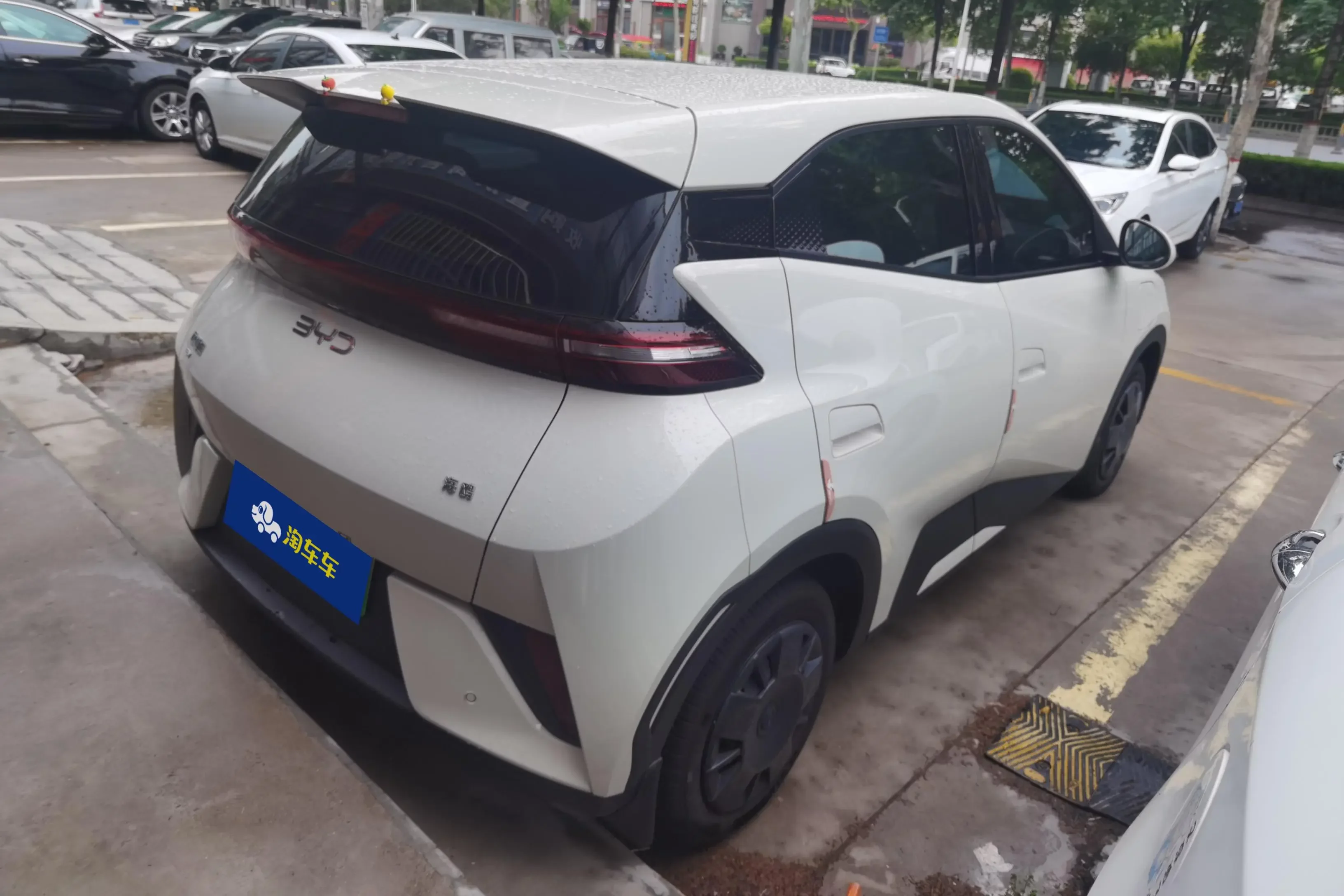 BYD seagull