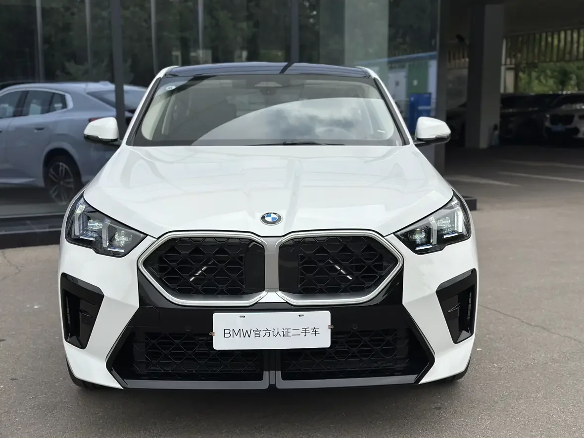 BMW X2