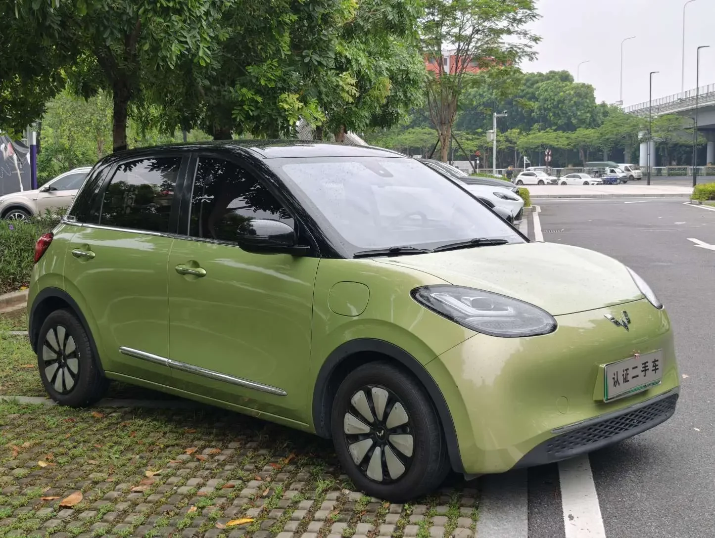 Wuling Bingo
