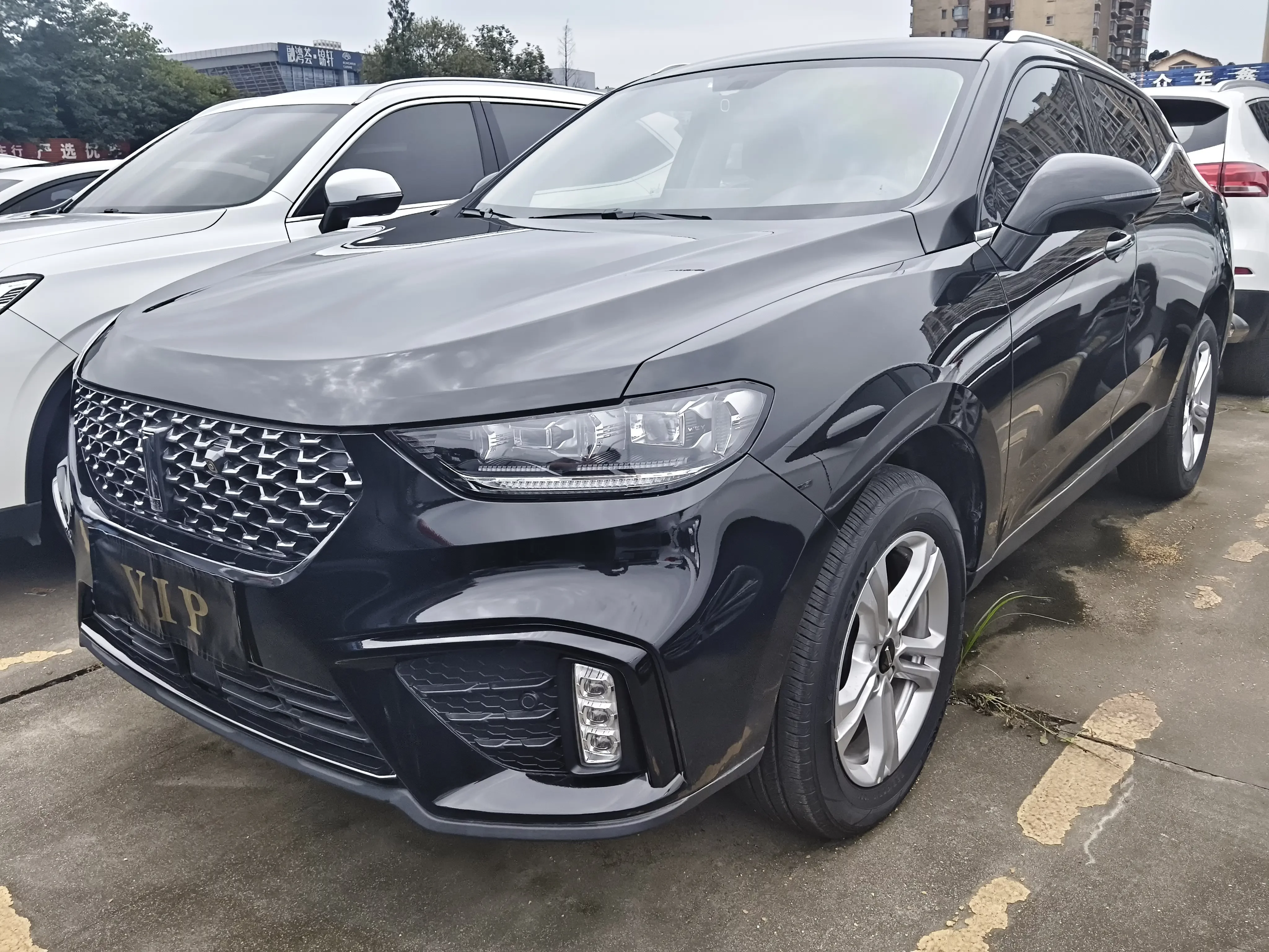 Wey Wei brand VV5