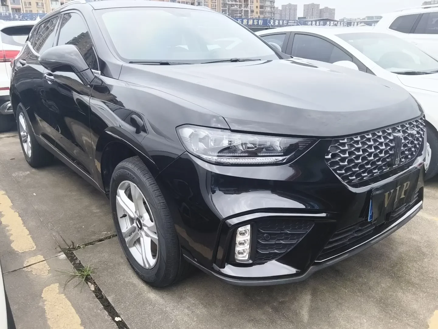 Wey Wei brand VV5