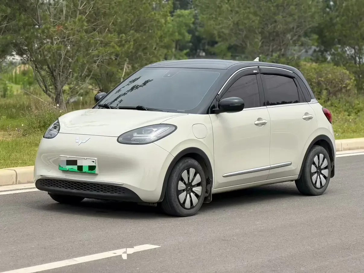 Wuling Bingo