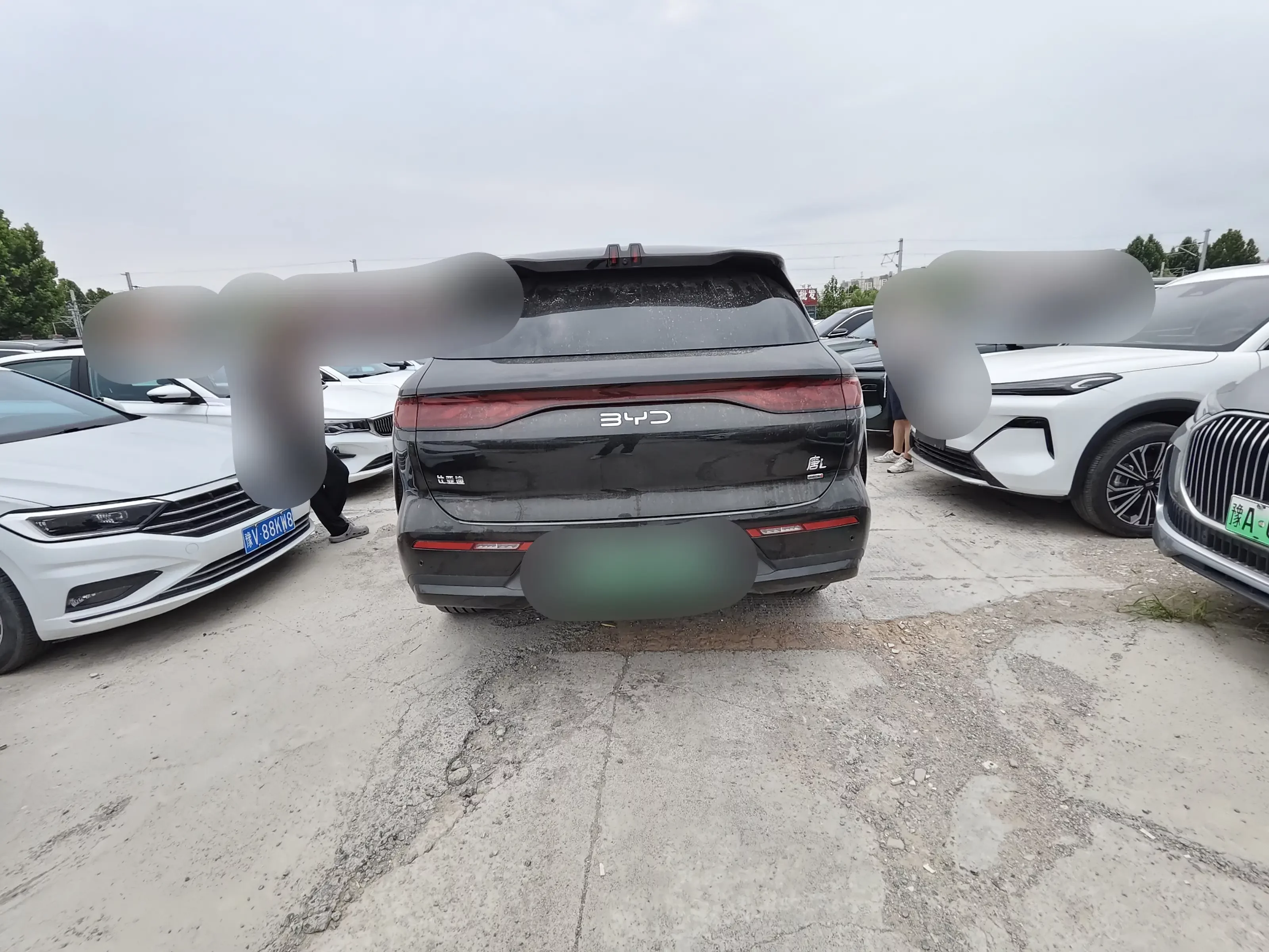 BYD Tang L DM