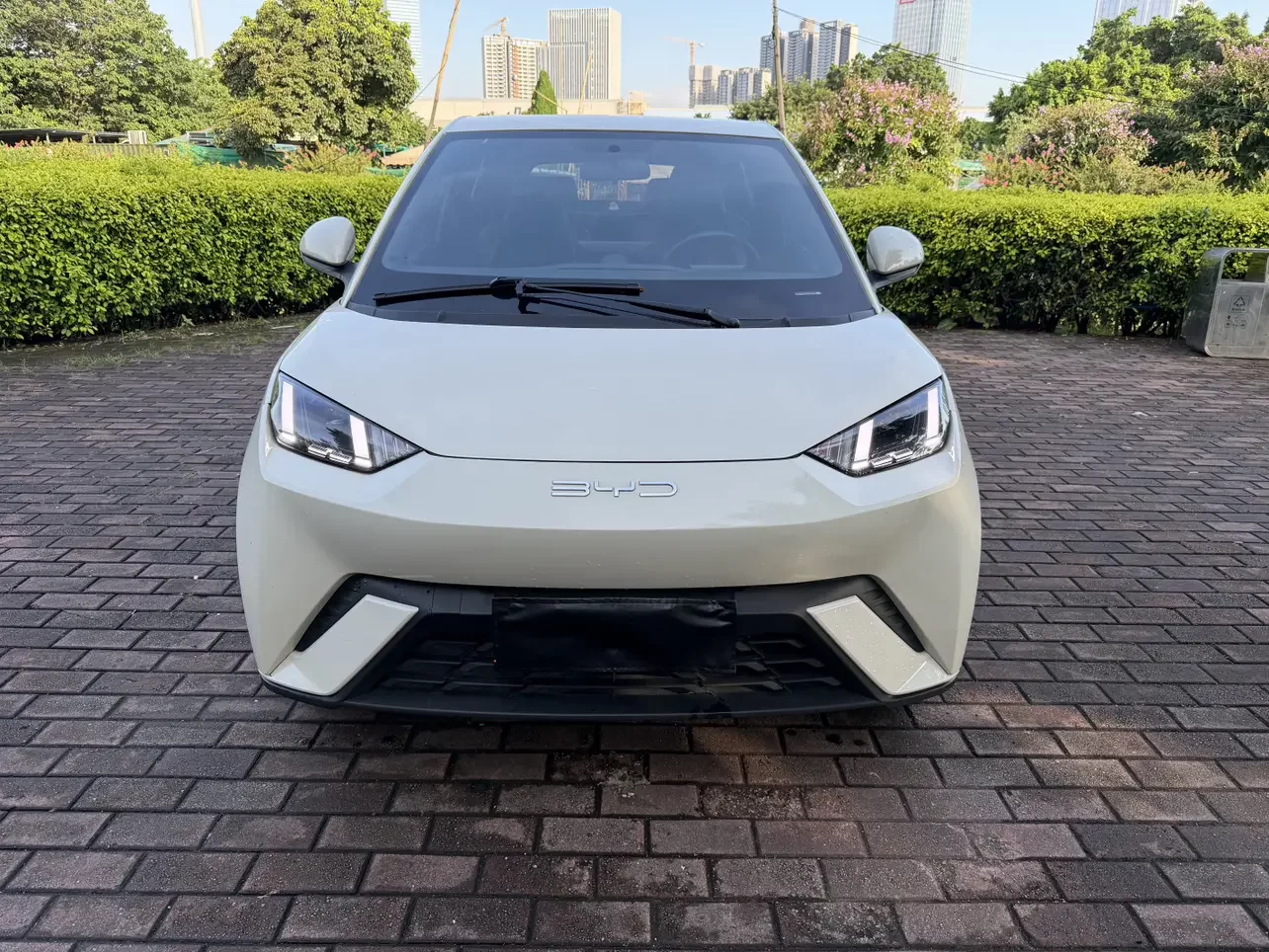 BYD seagull