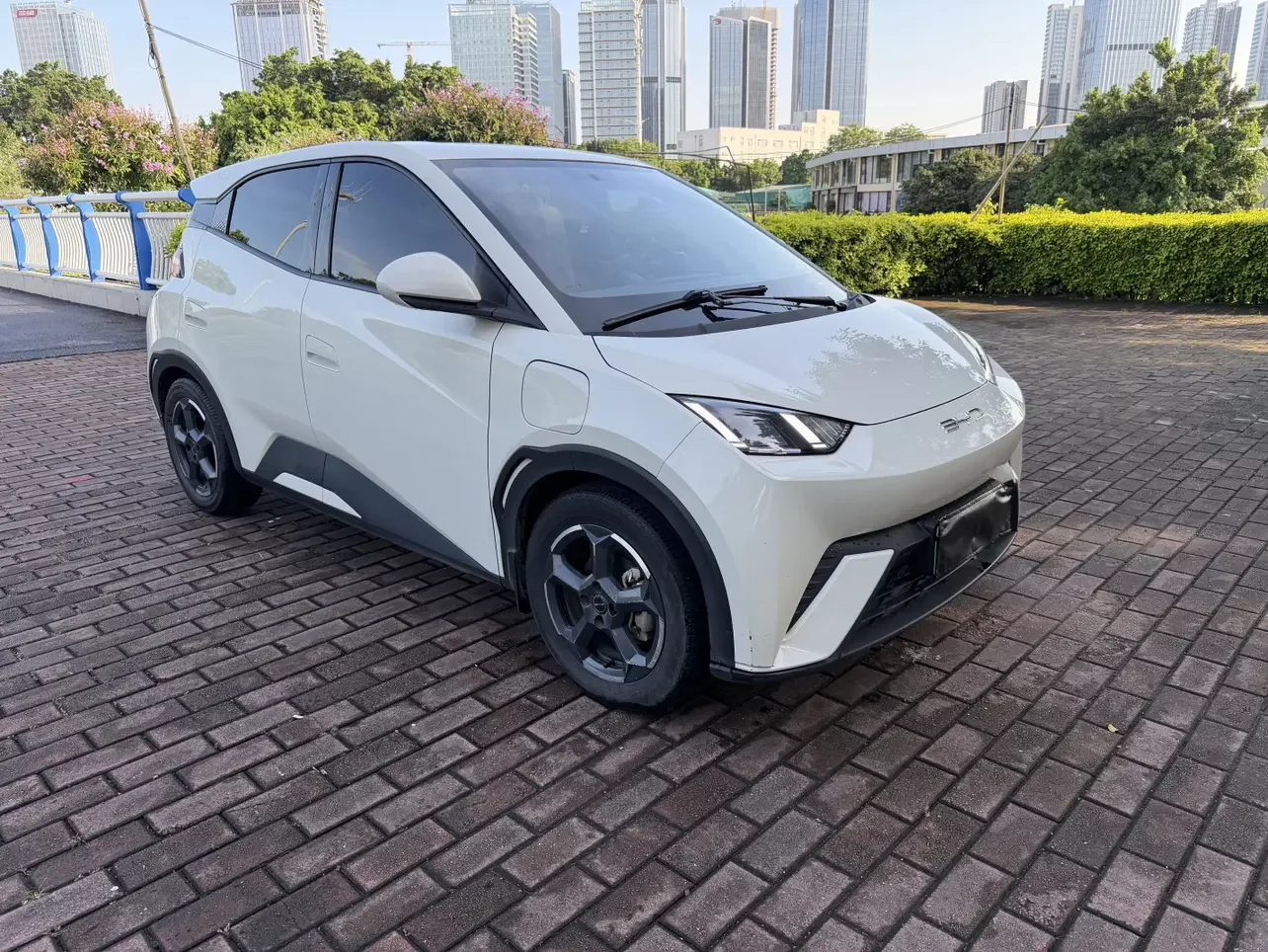 BYD seagull