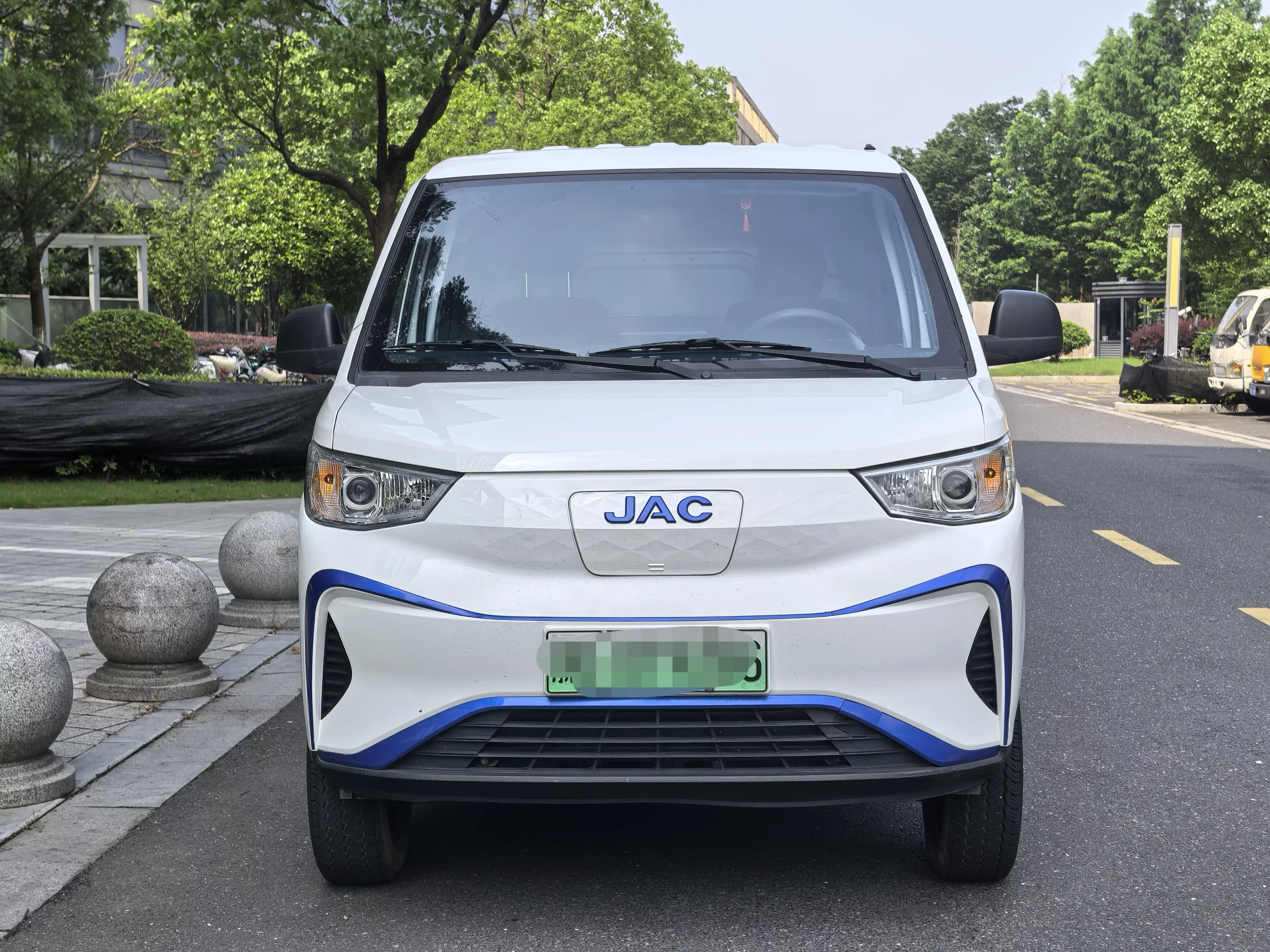 Jiangxi blue cat