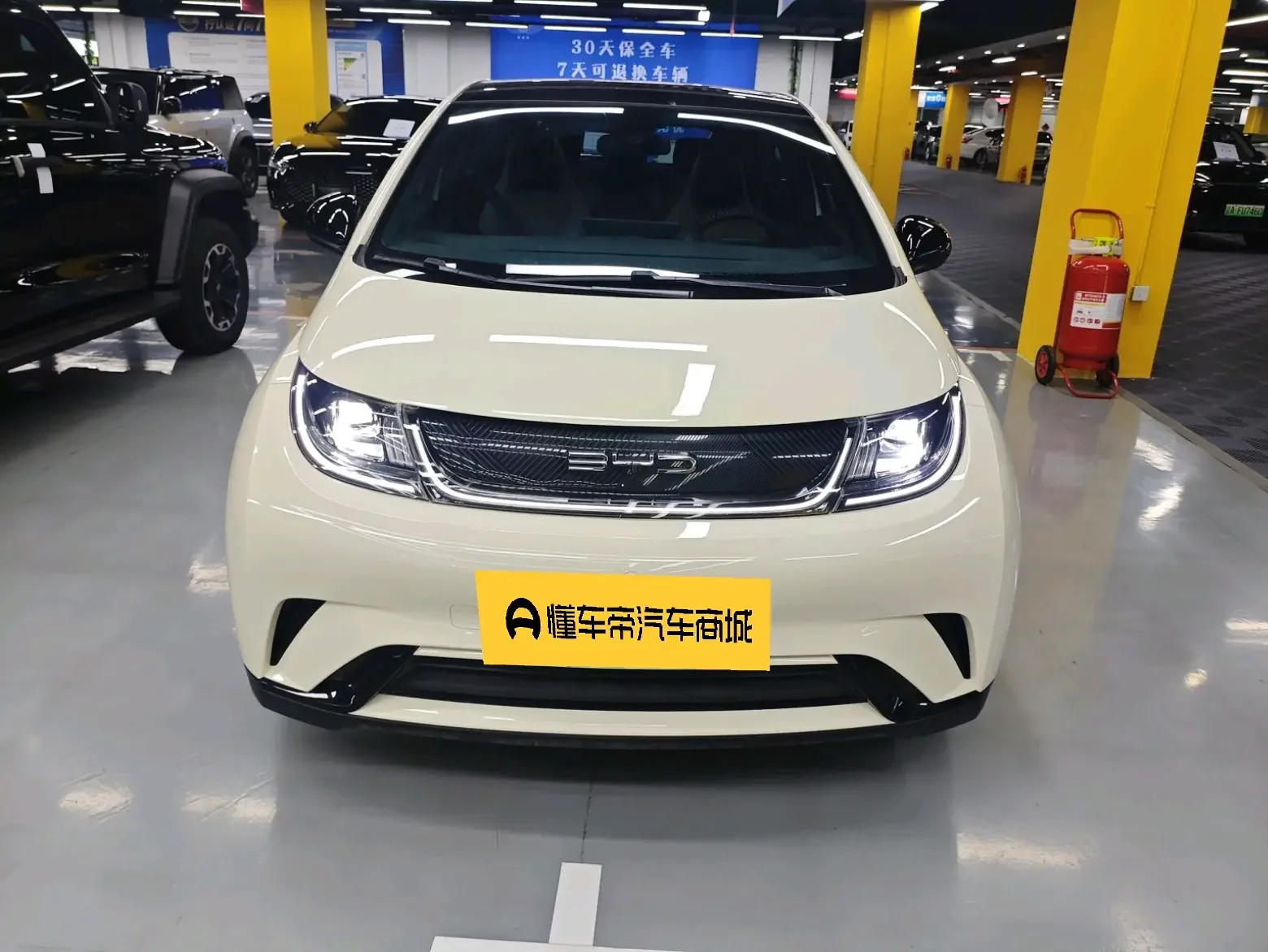BYD dolphin
