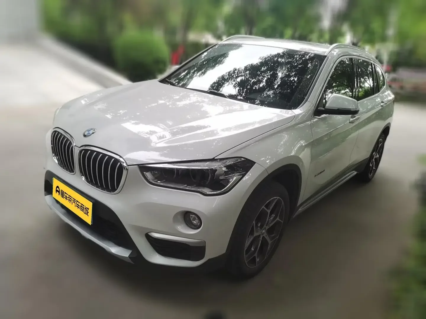BMW X1