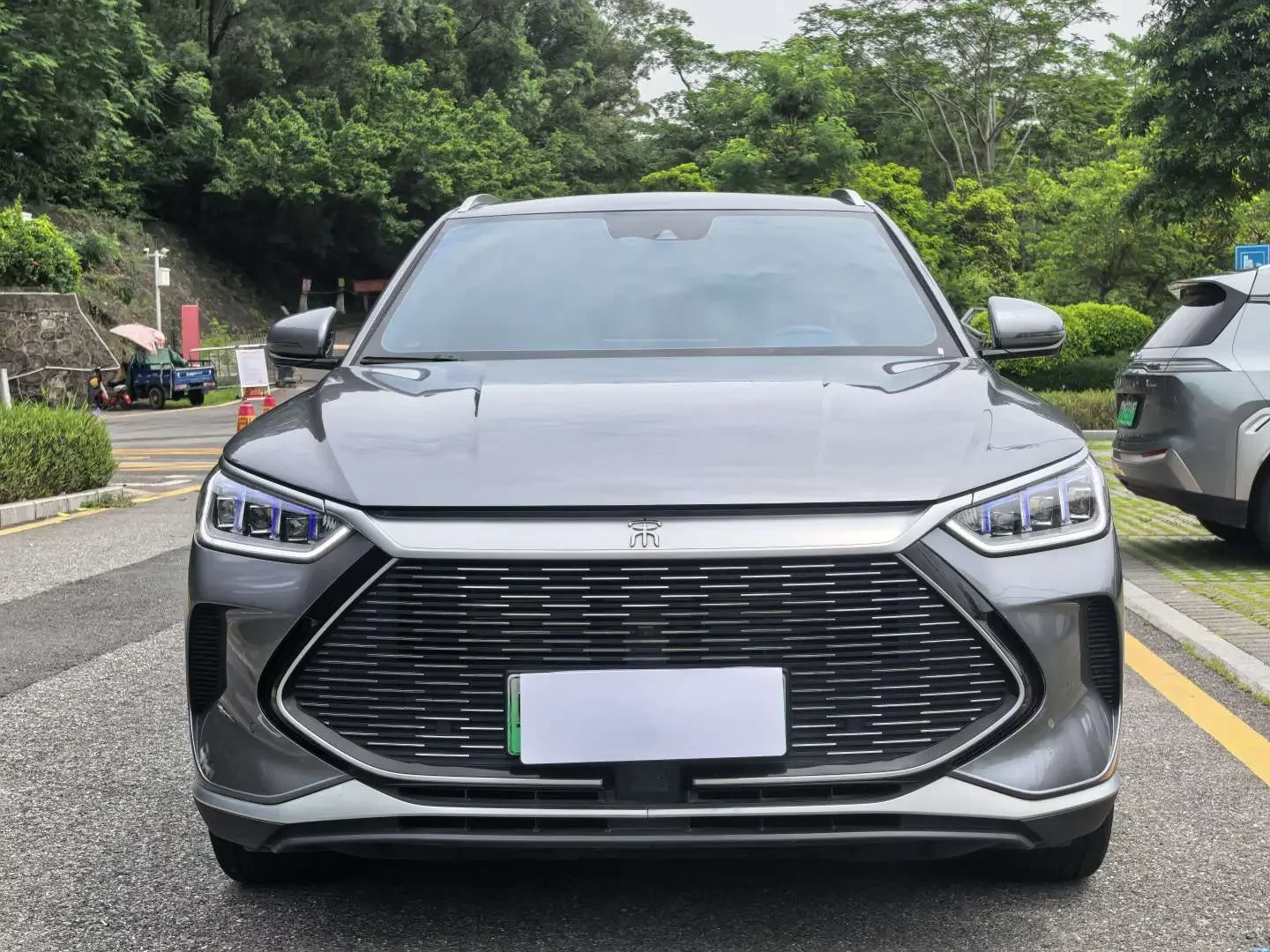 BYD Song PLUS DM