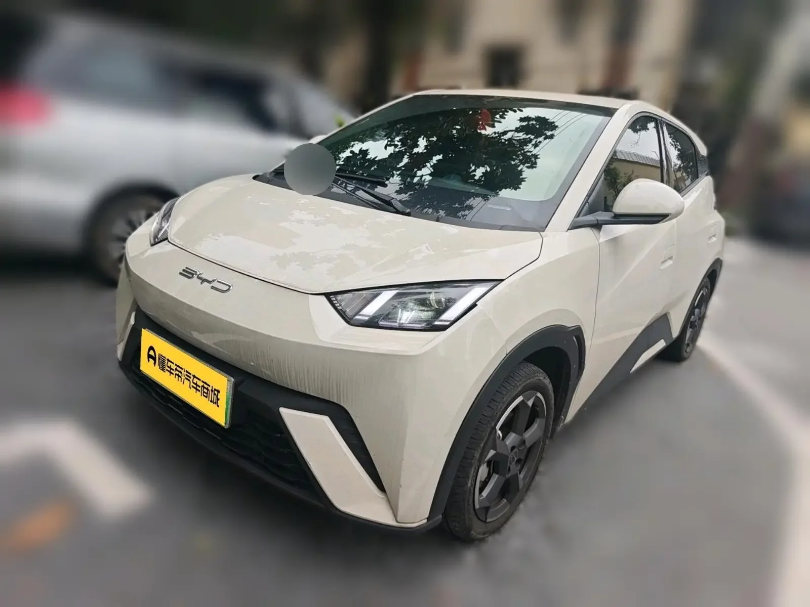 BYD seagull